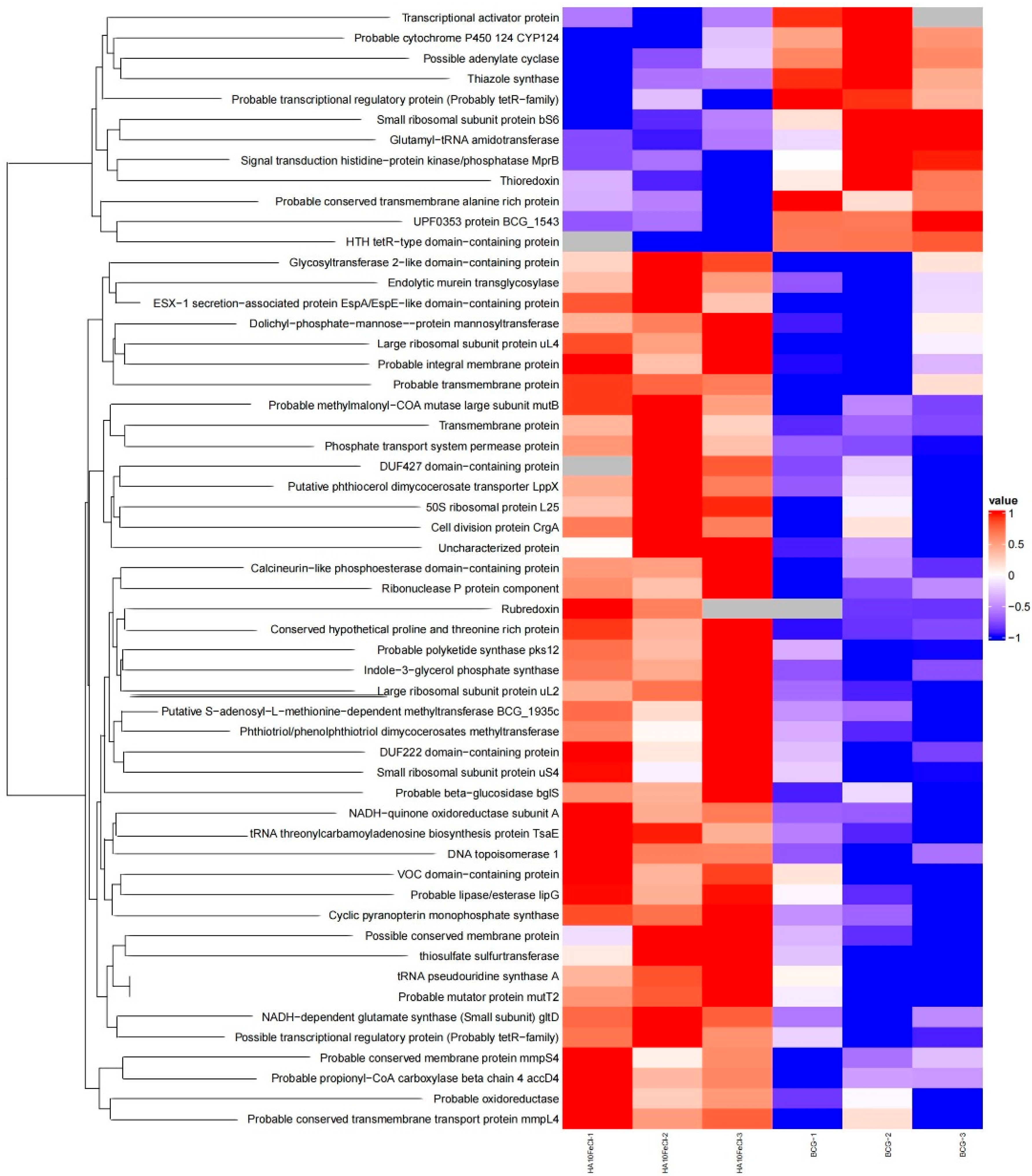 Microorganisms 11 02611 g002