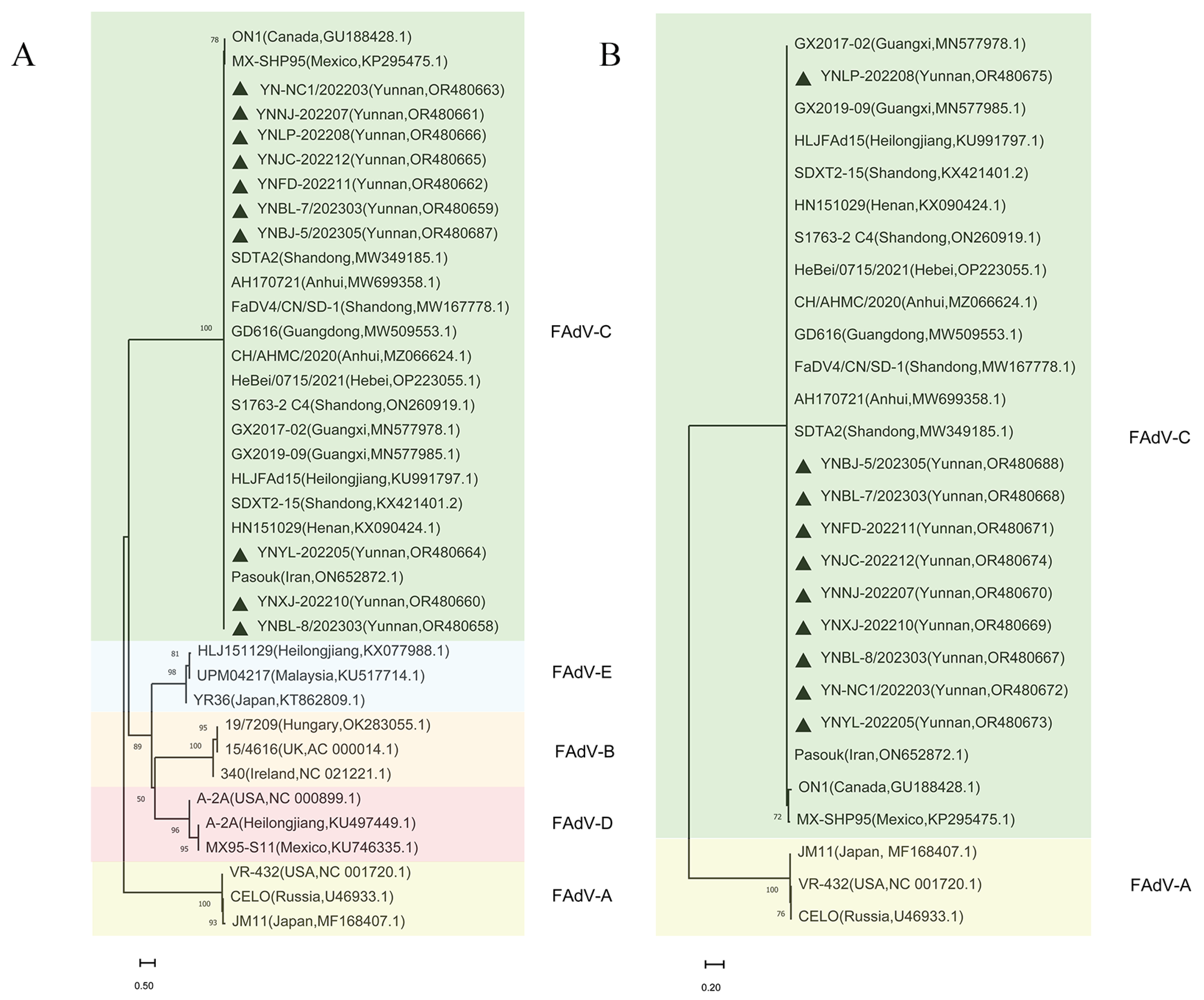 Microorganisms 11 02631 g002