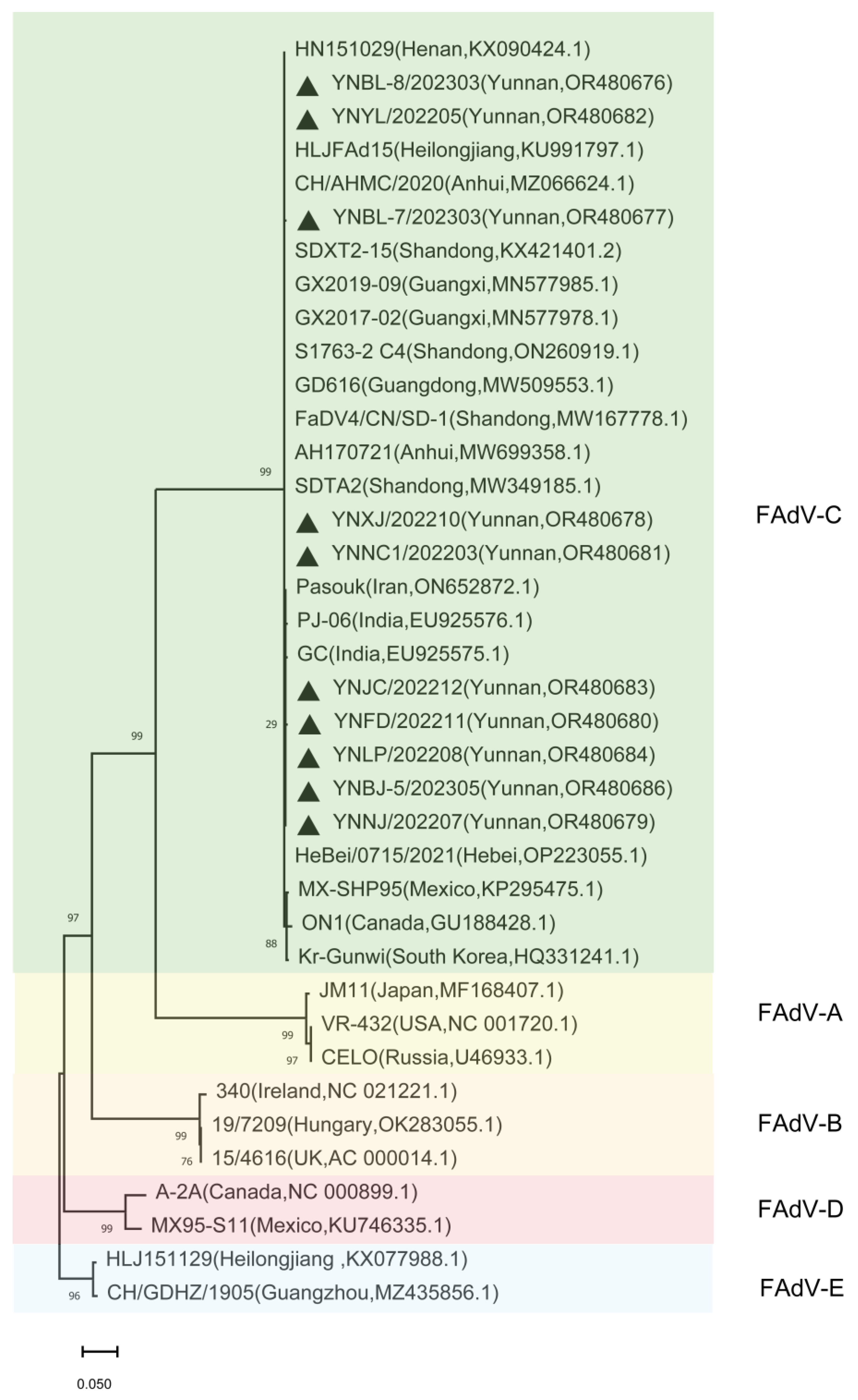 Microorganisms 11 02631 g003
