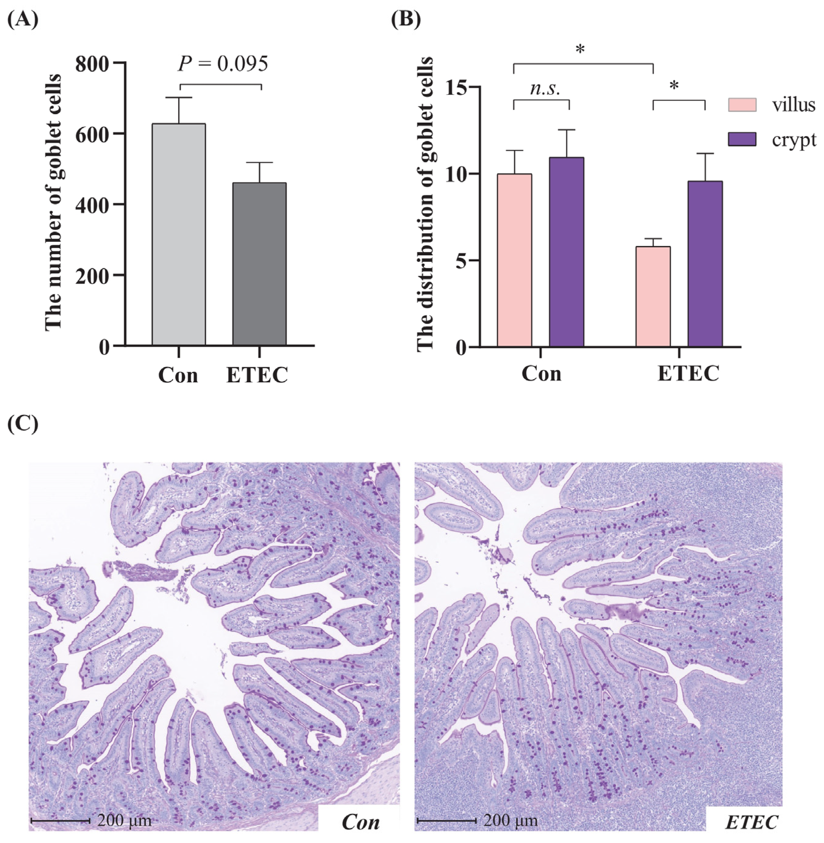 Effects of Enterotoxigenic Escherichia coli Challenge on Jejunal ...
