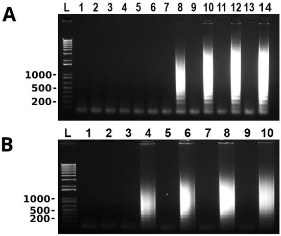 Microorganisms 11 02736 g001