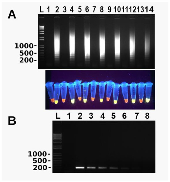 Microorganisms 11 02736 g002