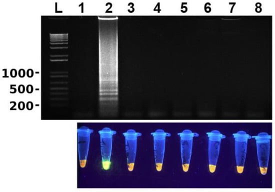 Microorganisms 11 02736 g003