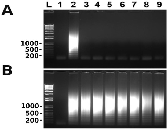 Microorganisms 11 02736 g004