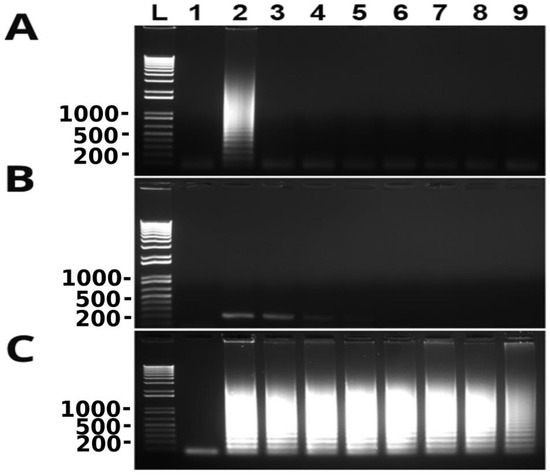 Microorganisms 11 02736 g005