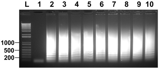 Microorganisms 11 02736 g006