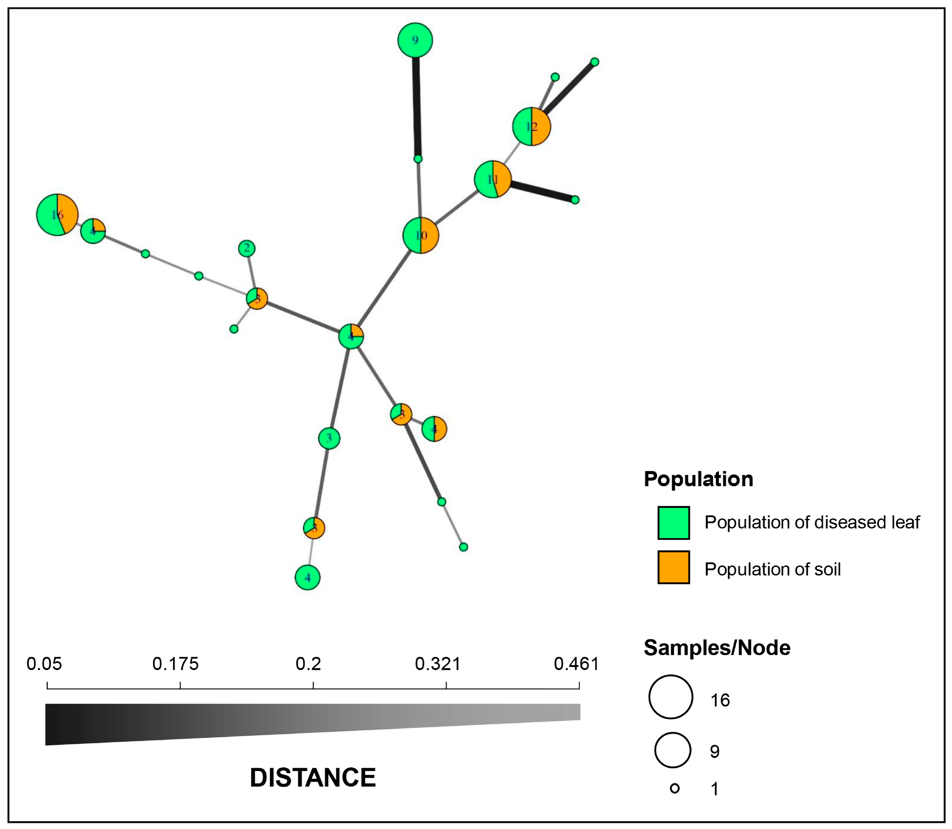 Microorganisms 11 02785 g002