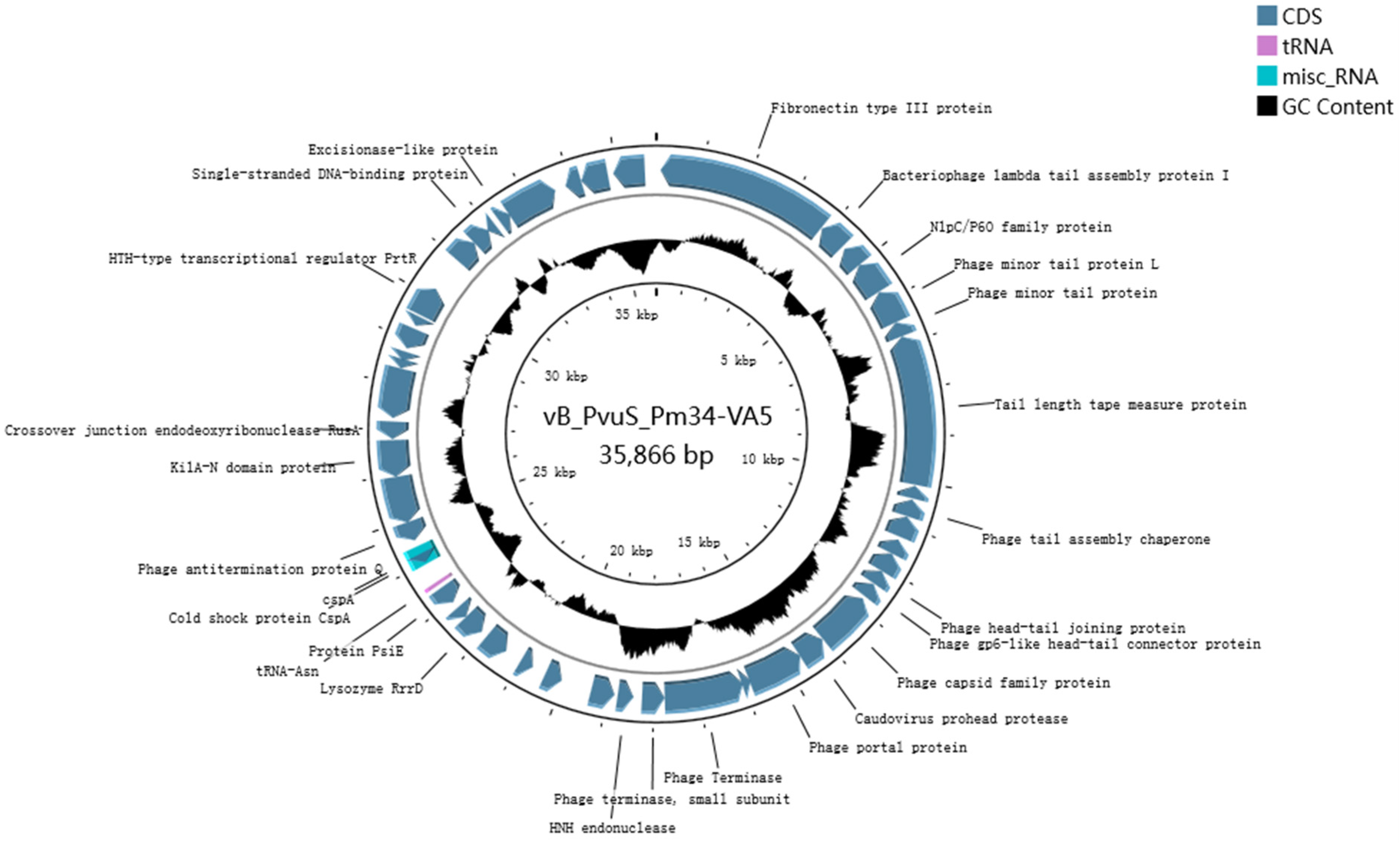 Microorganisms 11 02822 g002