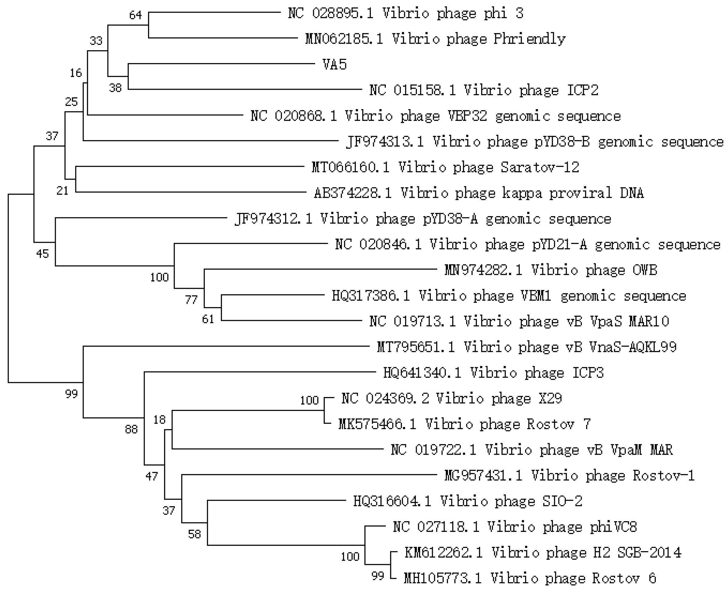 Microorganisms 11 02822 g003