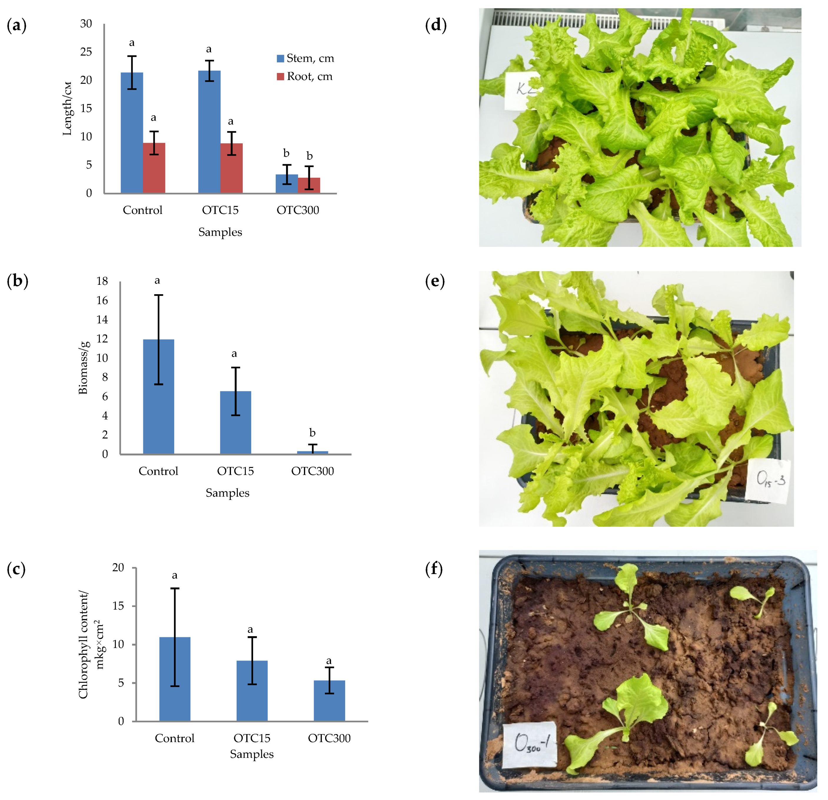 Microorganisms 11 02828 g005