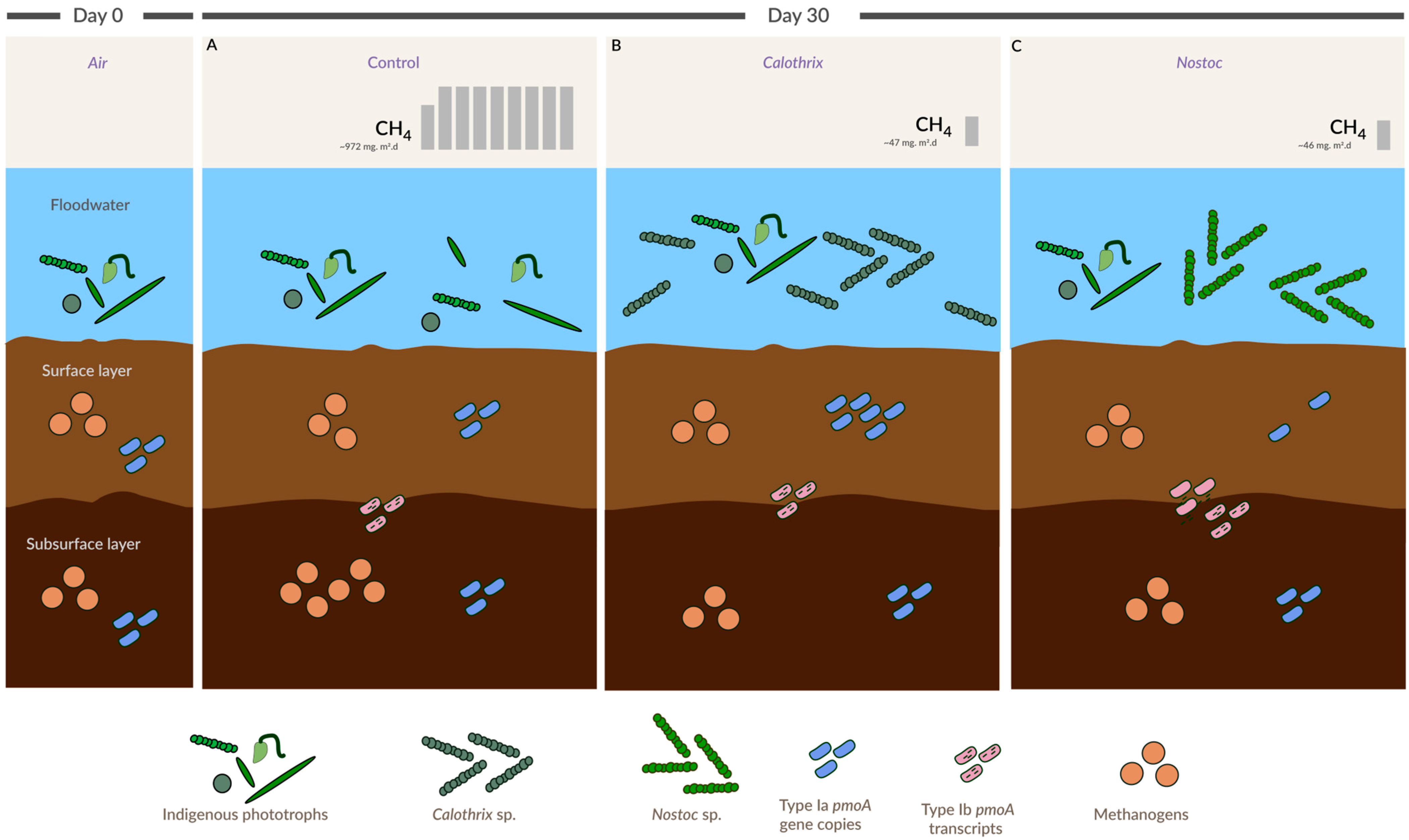 Microorganisms 11 02830 g005