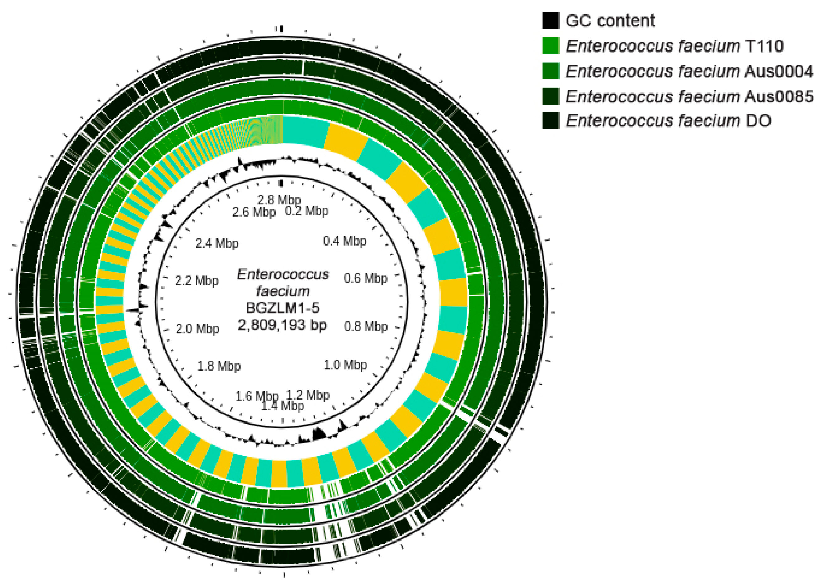 Microorganisms 11 02844 g001