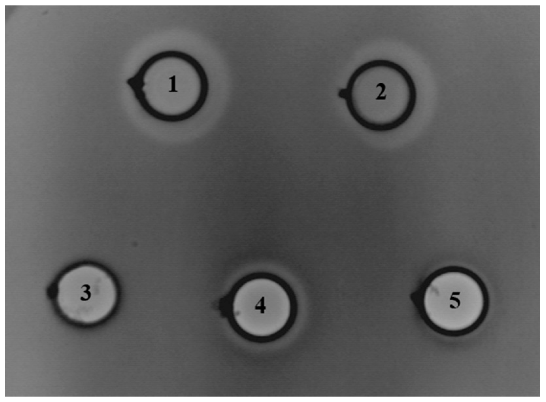 Microorganisms 11 02844 g003