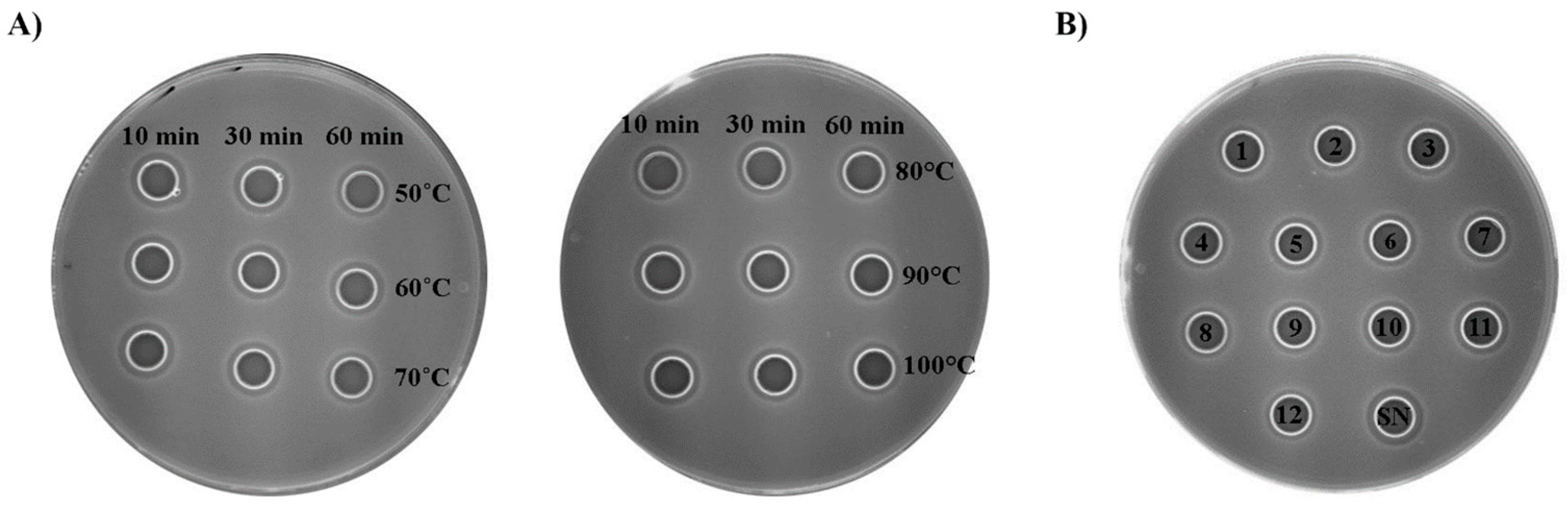 Microorganisms 11 02844 g005
