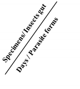 Microorganisms 11 02850 i001 Microorganisms 11 02850 i001