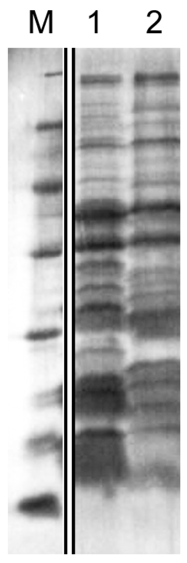 Microorganisms 11 02853 g003