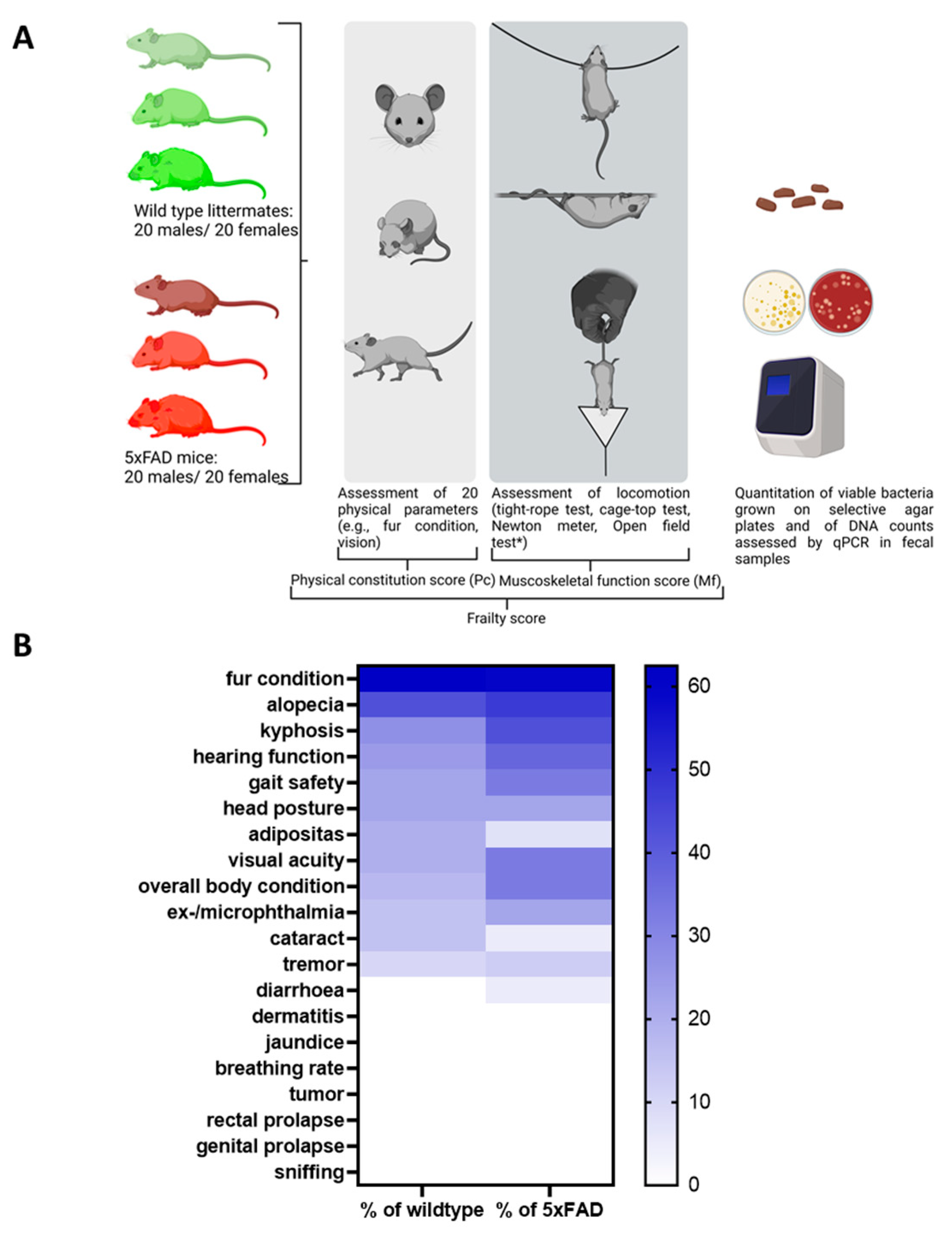Microorganisms 11 02856 g001