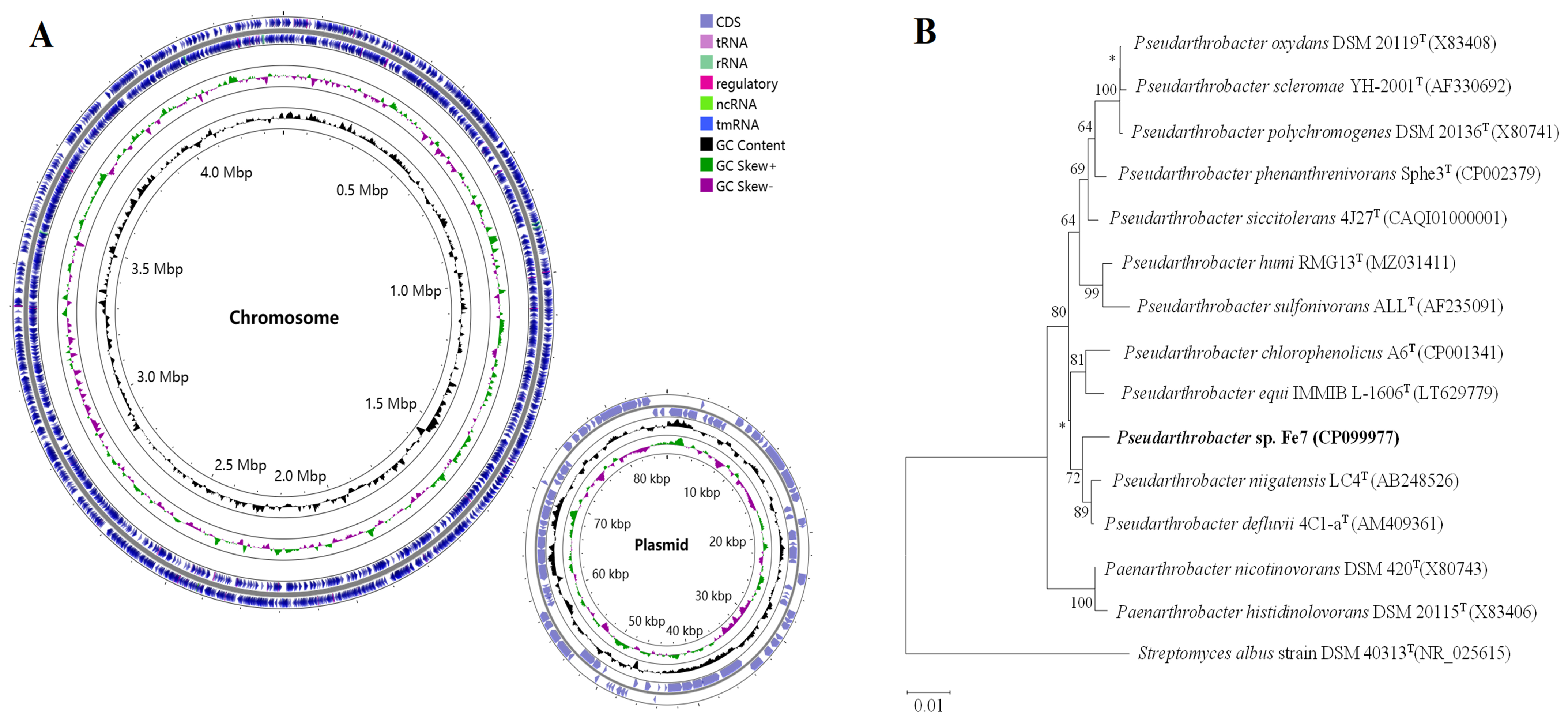 Microorganisms 11 02860 g001