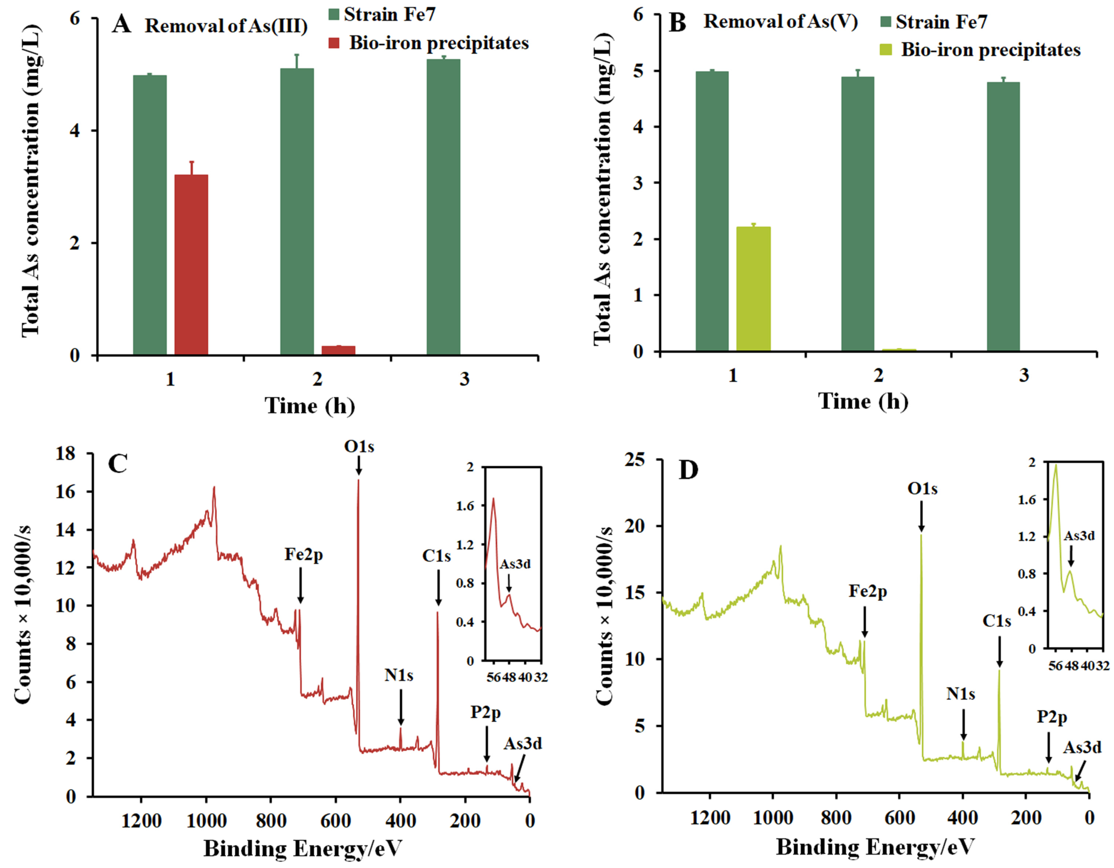 Microorganisms 11 02860 g004