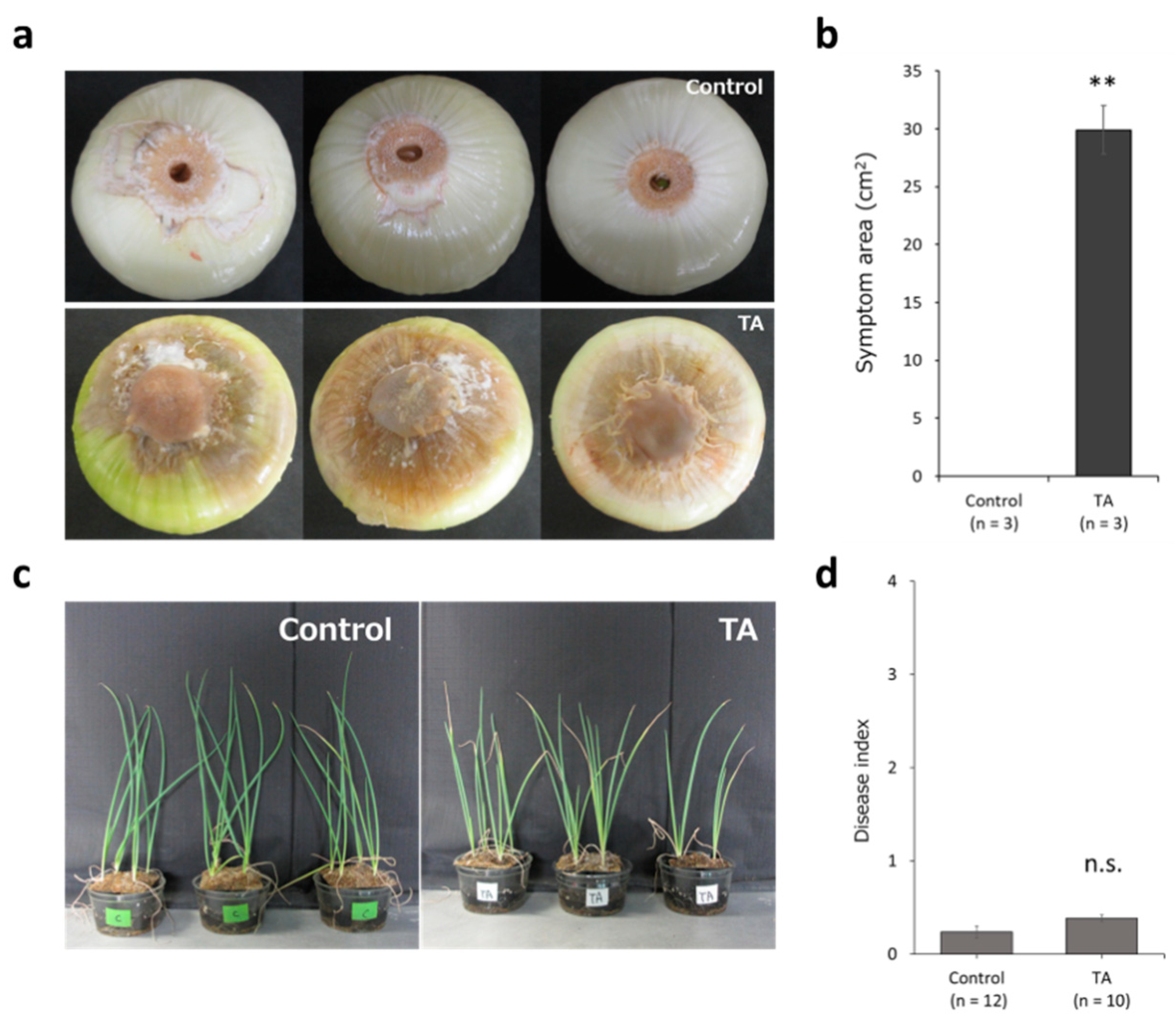 Microorganisms 11 02861 g001