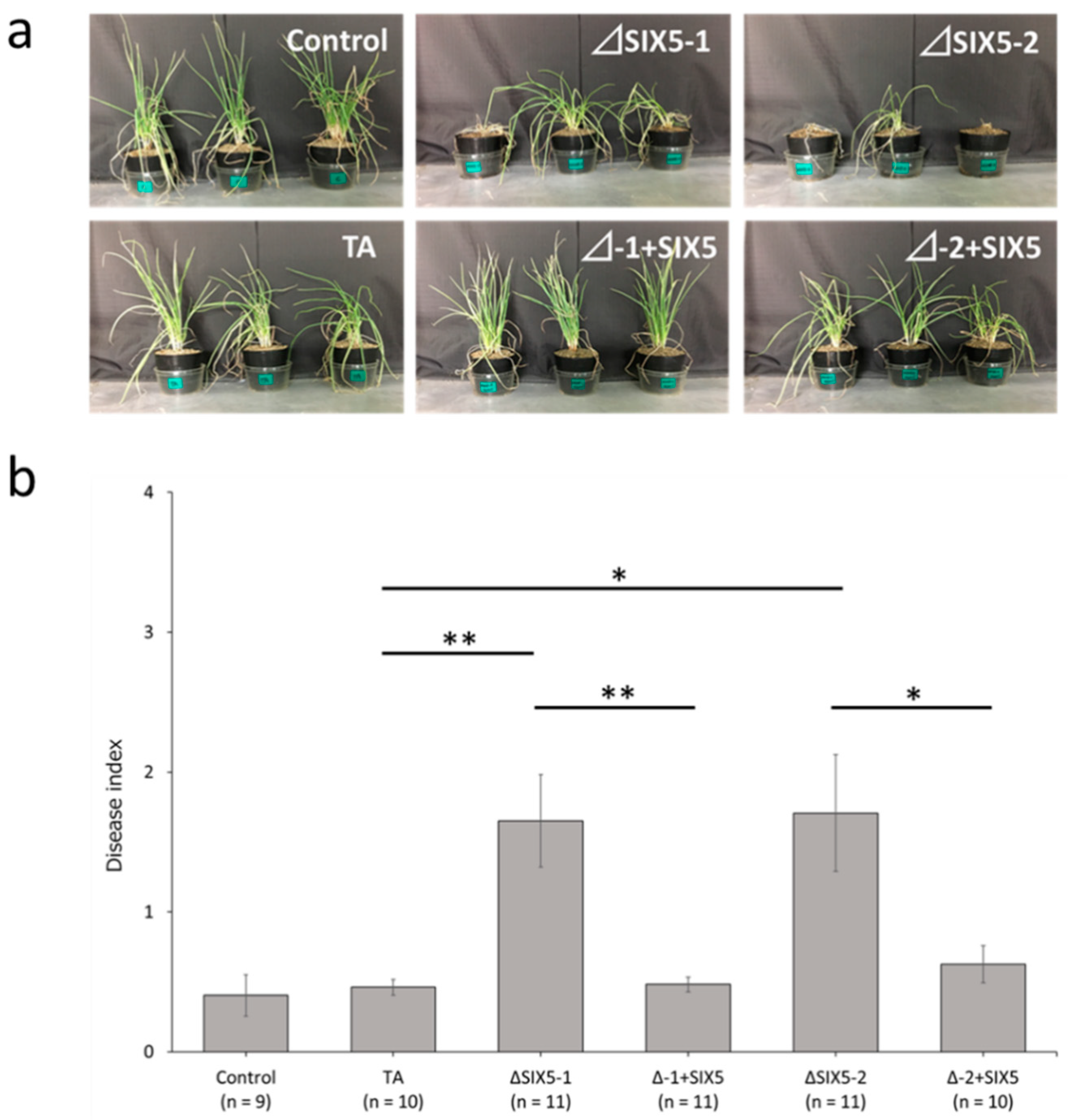 Microorganisms 11 02861 g003
