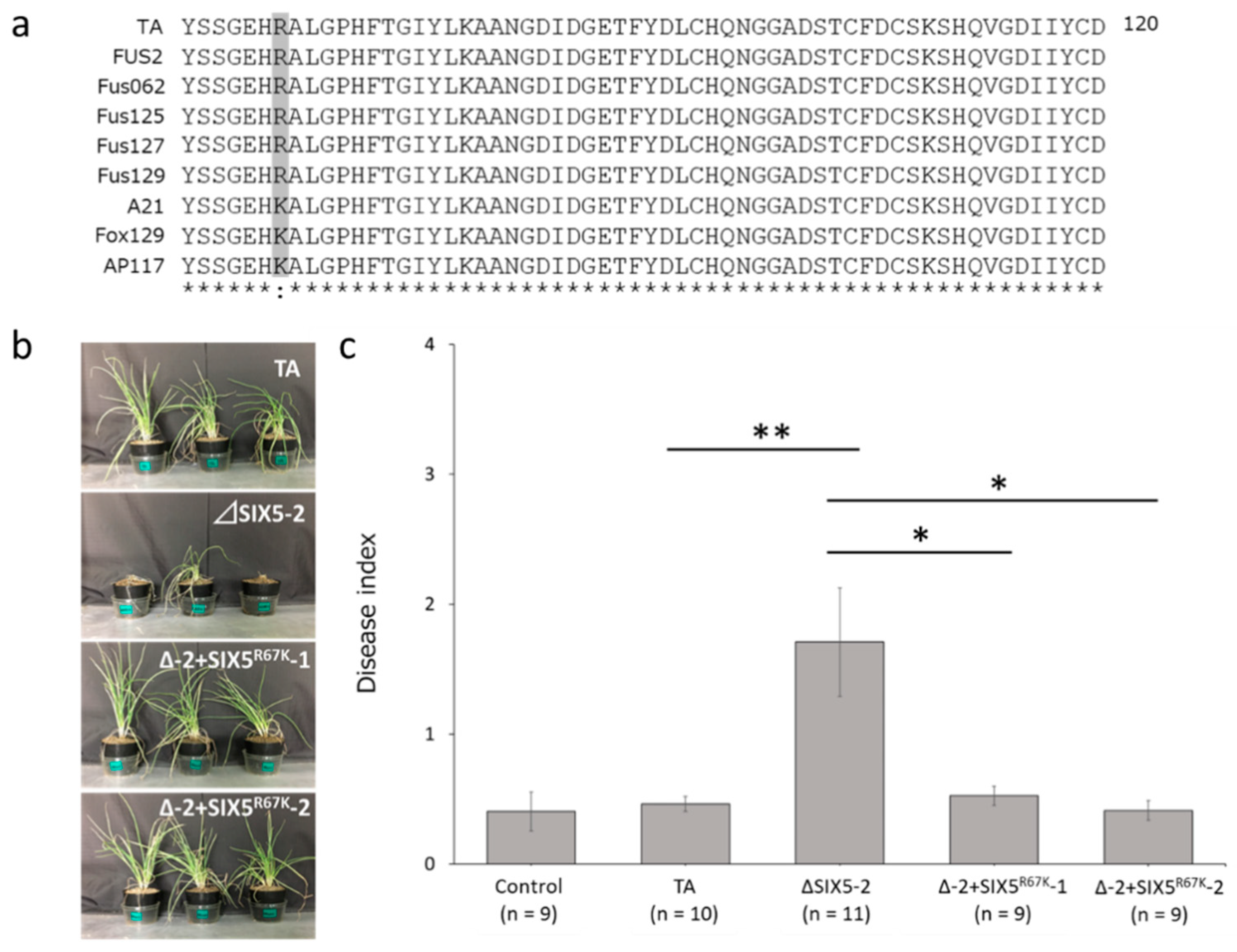 Microorganisms 11 02861 g004