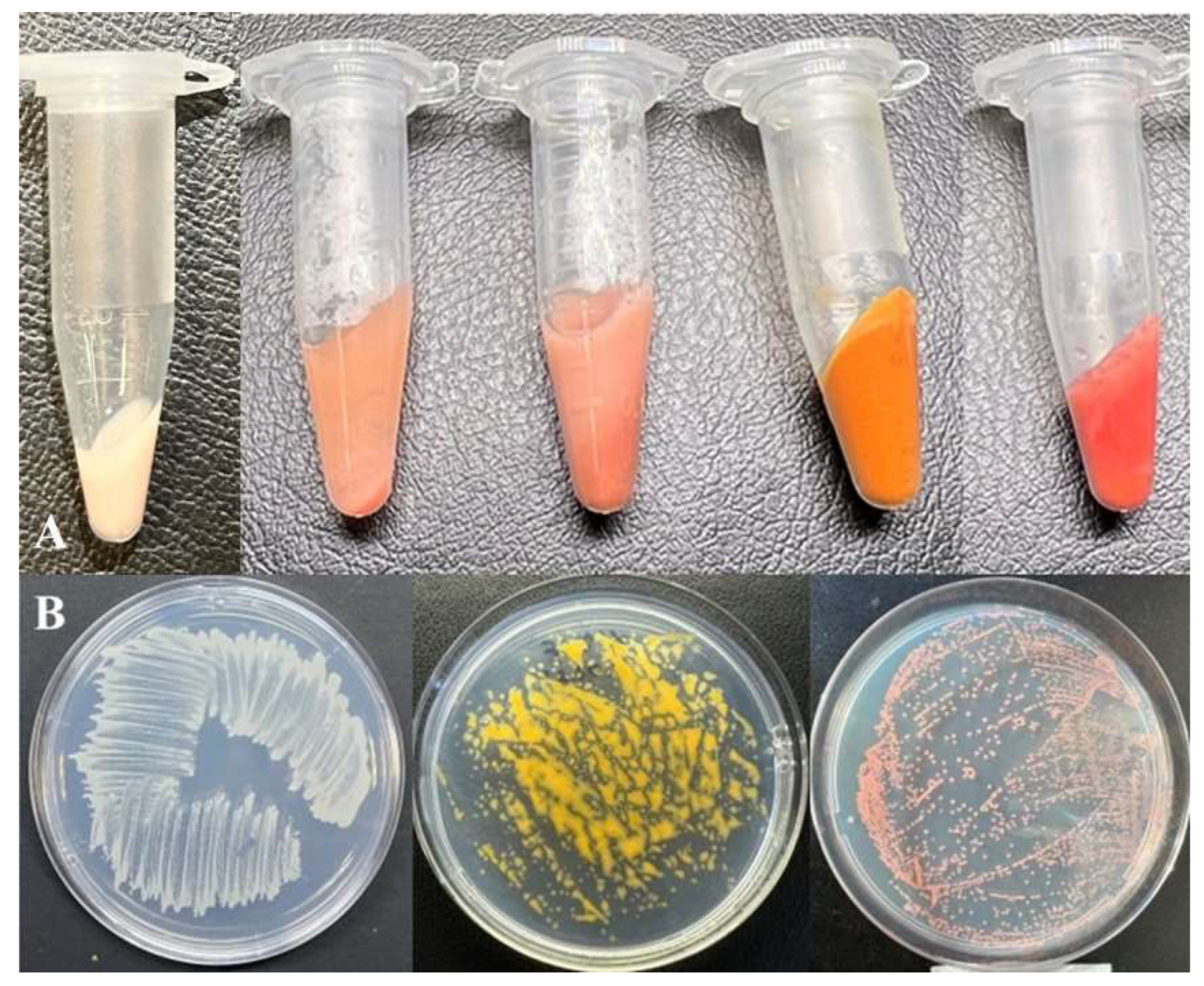 Microorganisms 11 02865 g001 Microorganisms 11 02865 g001