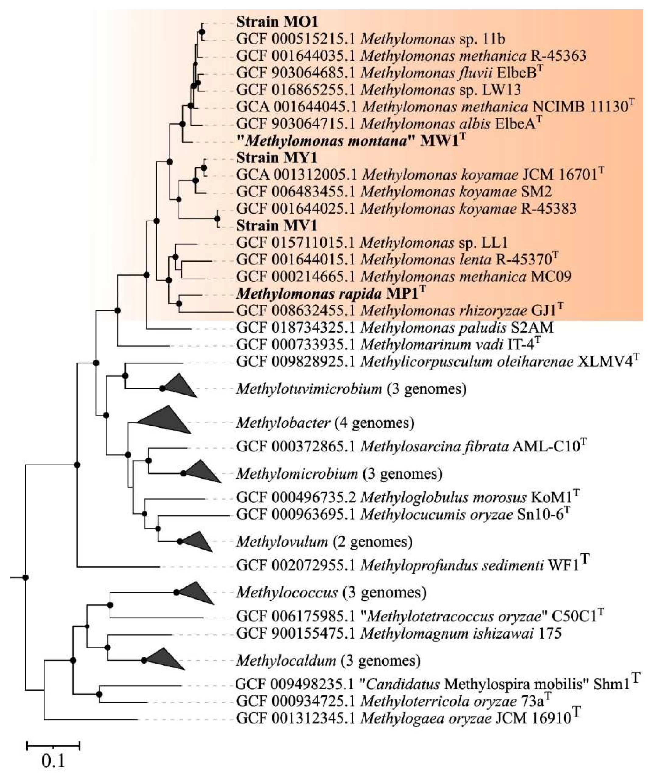 Microorganisms 11 02865 g003 Microorganisms 11 02865 g003