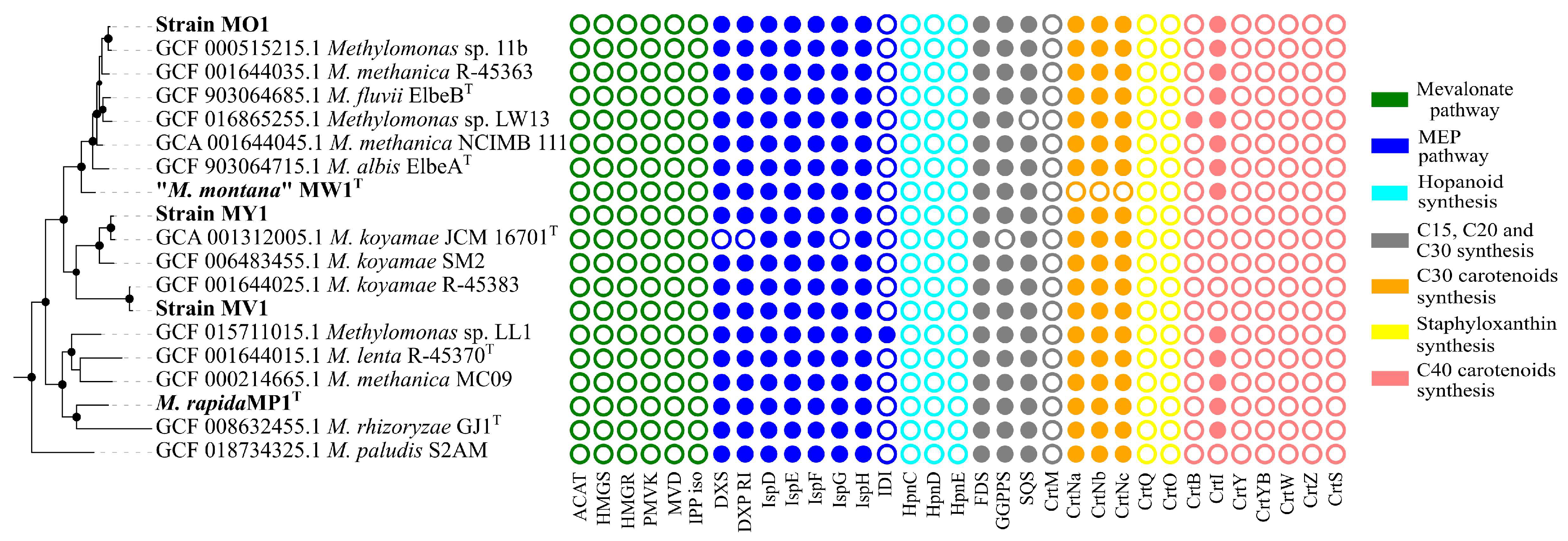 Microorganisms 11 02865 g004 Microorganisms 11 02865 g004