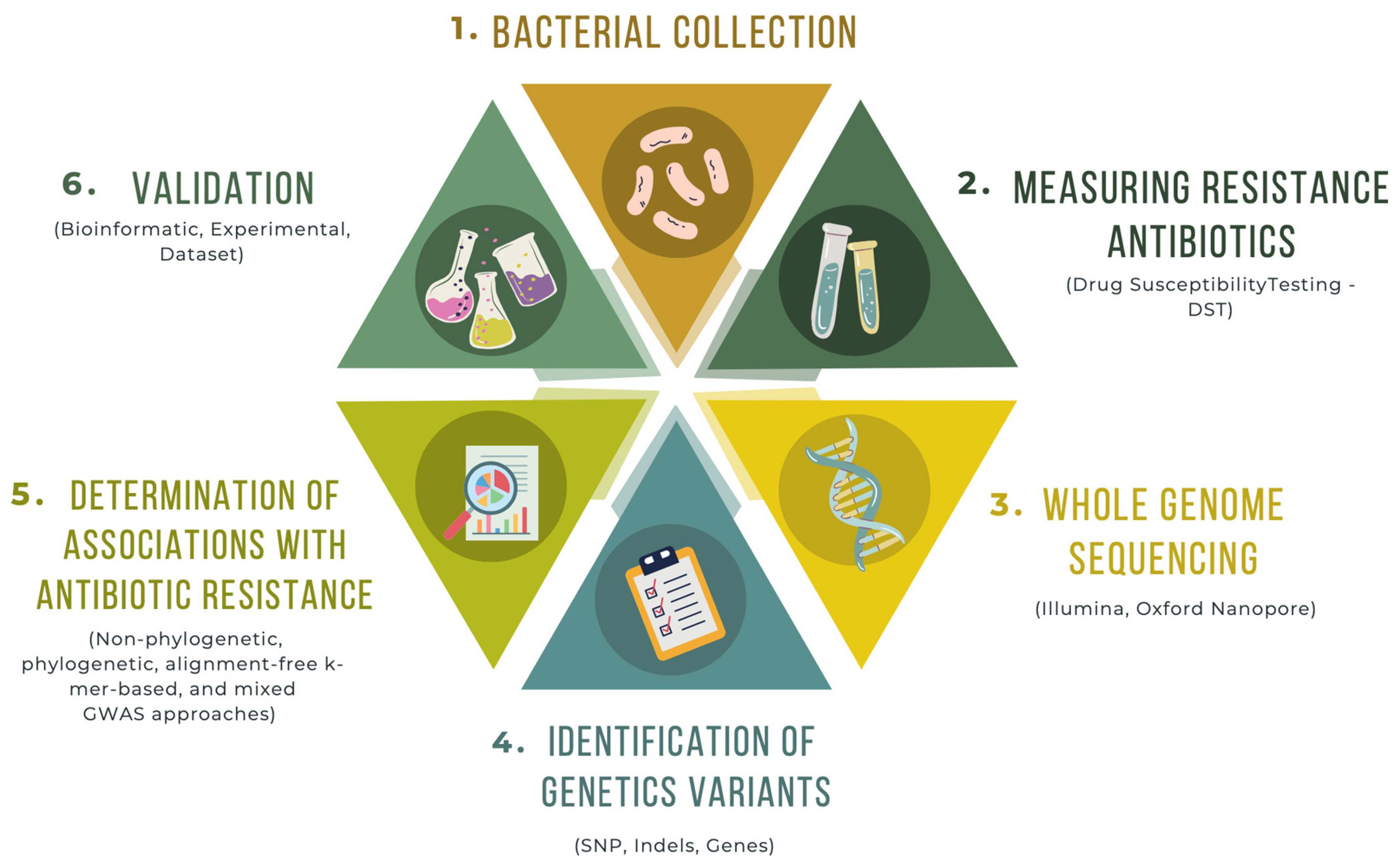 Microorganisms 11 02866 g002