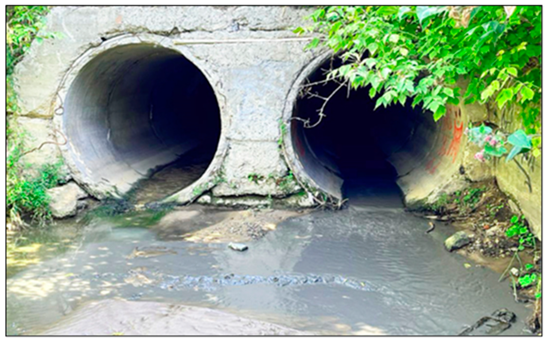 Microorganisms 11 02872 g001