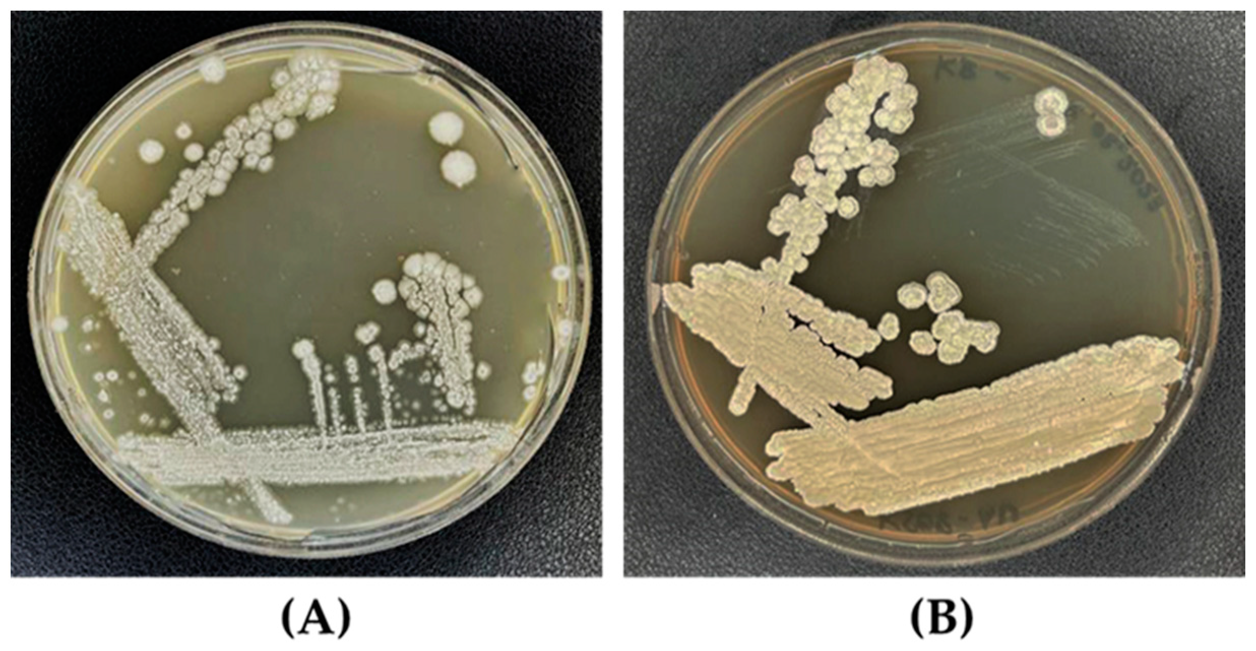 Microorganisms 11 02872 g002