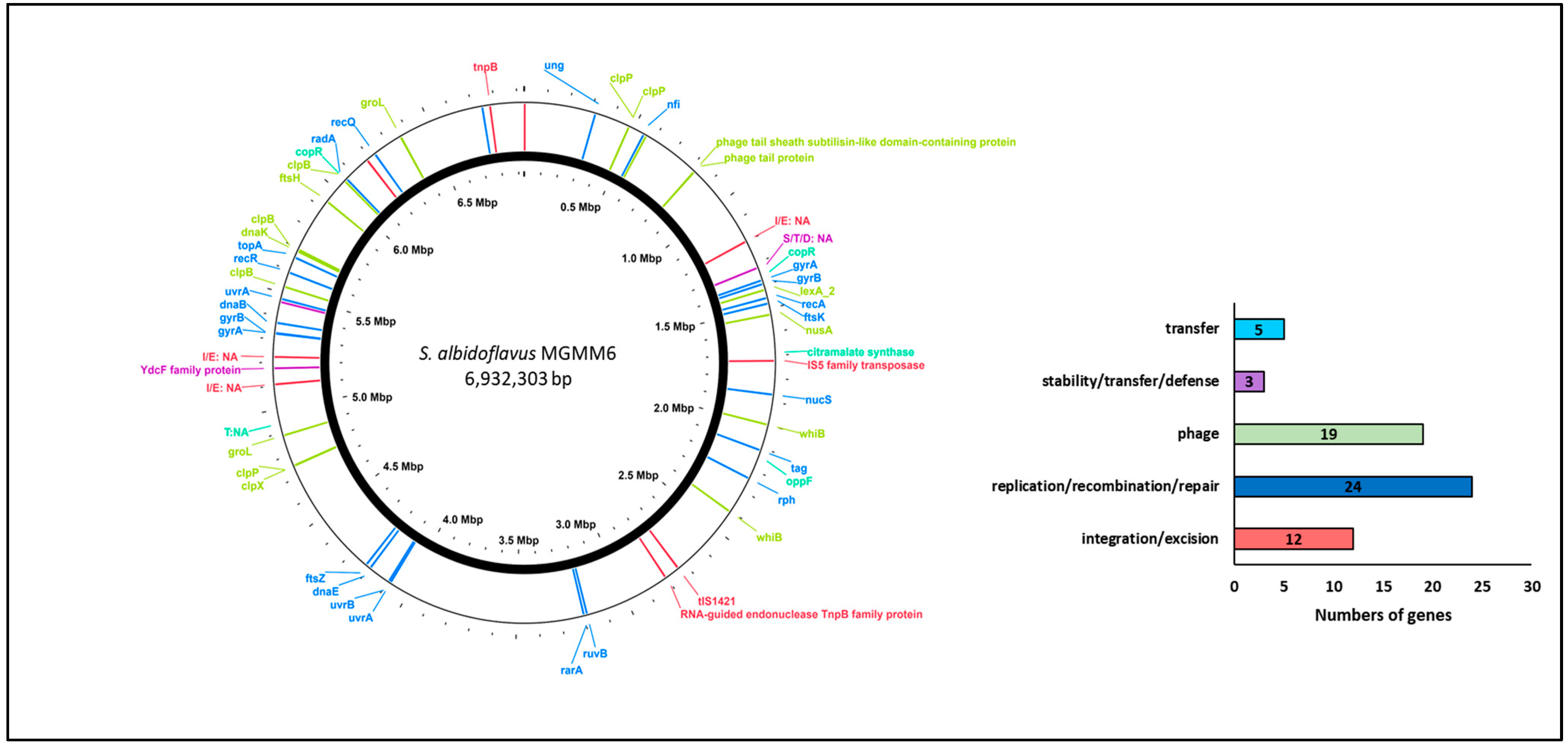 Microorganisms 11 02872 g004