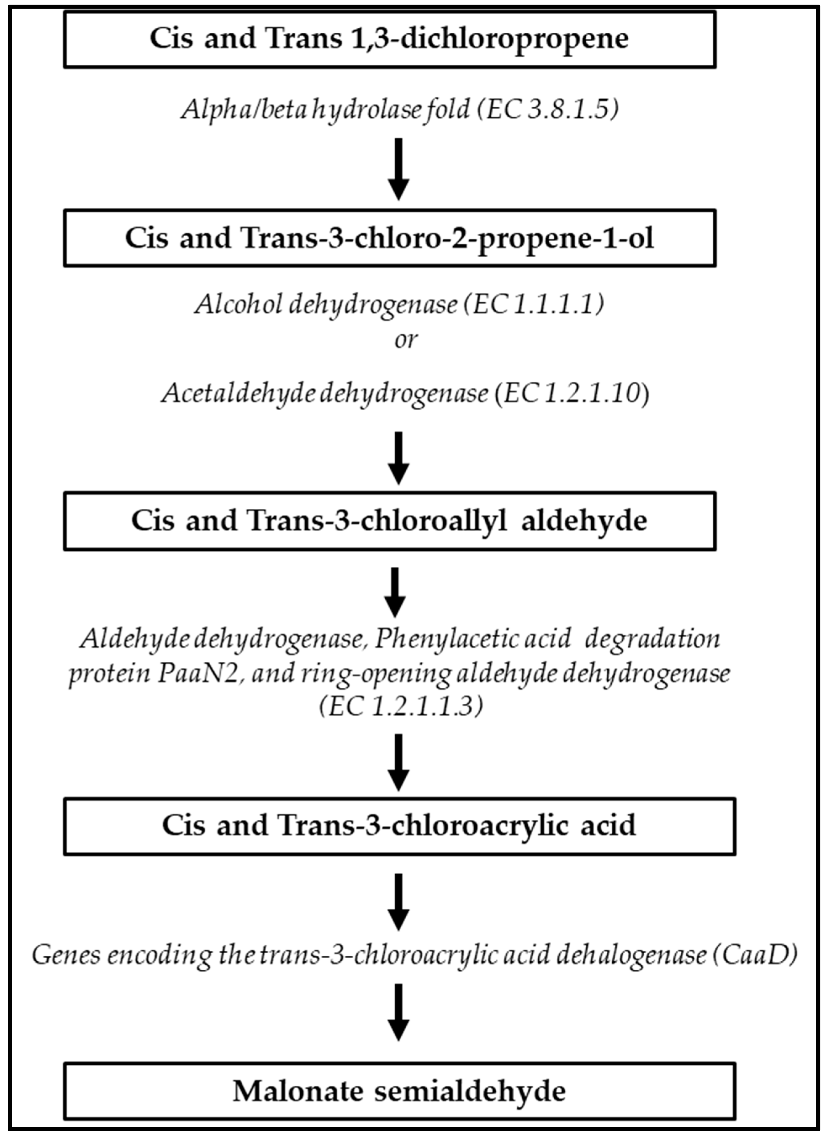 Microorganisms 11 02872 g005