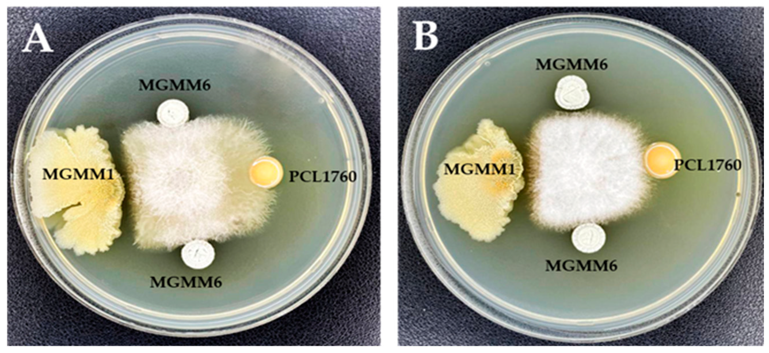 Microorganisms 11 02872 g006