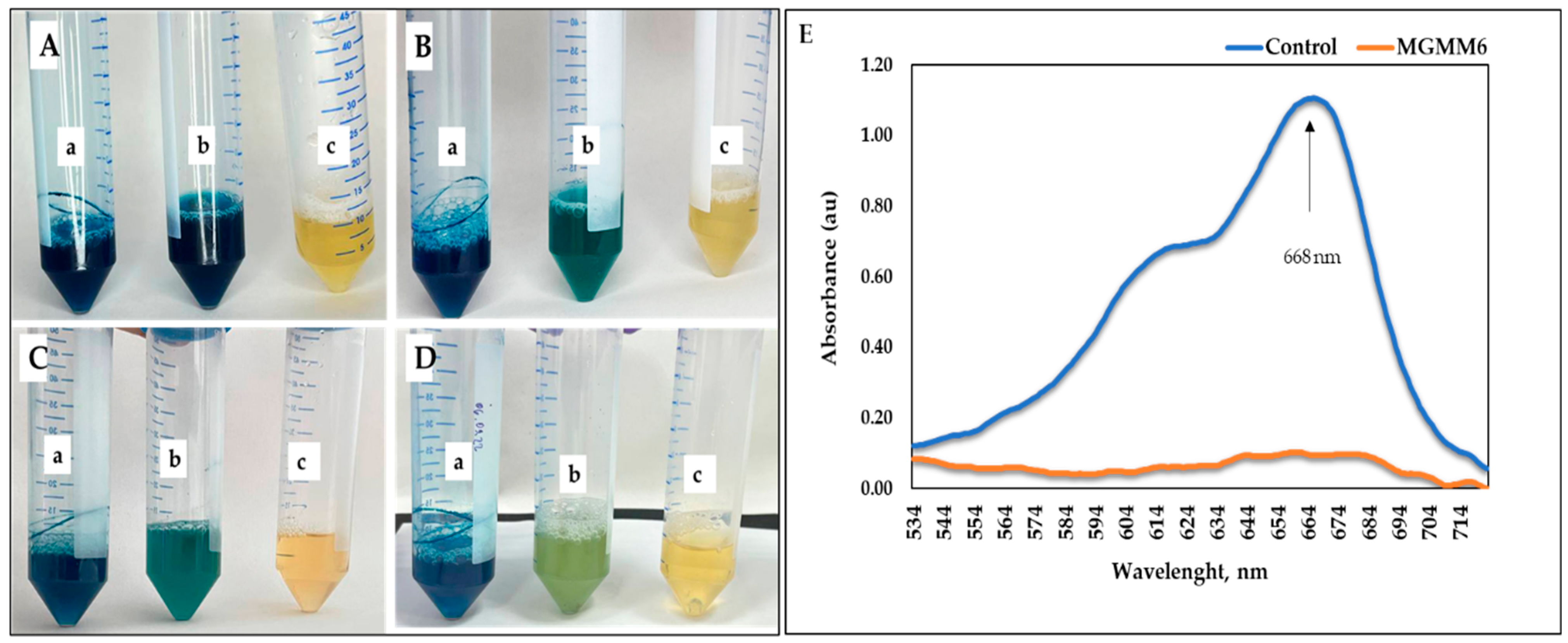 Microorganisms 11 02872 g007