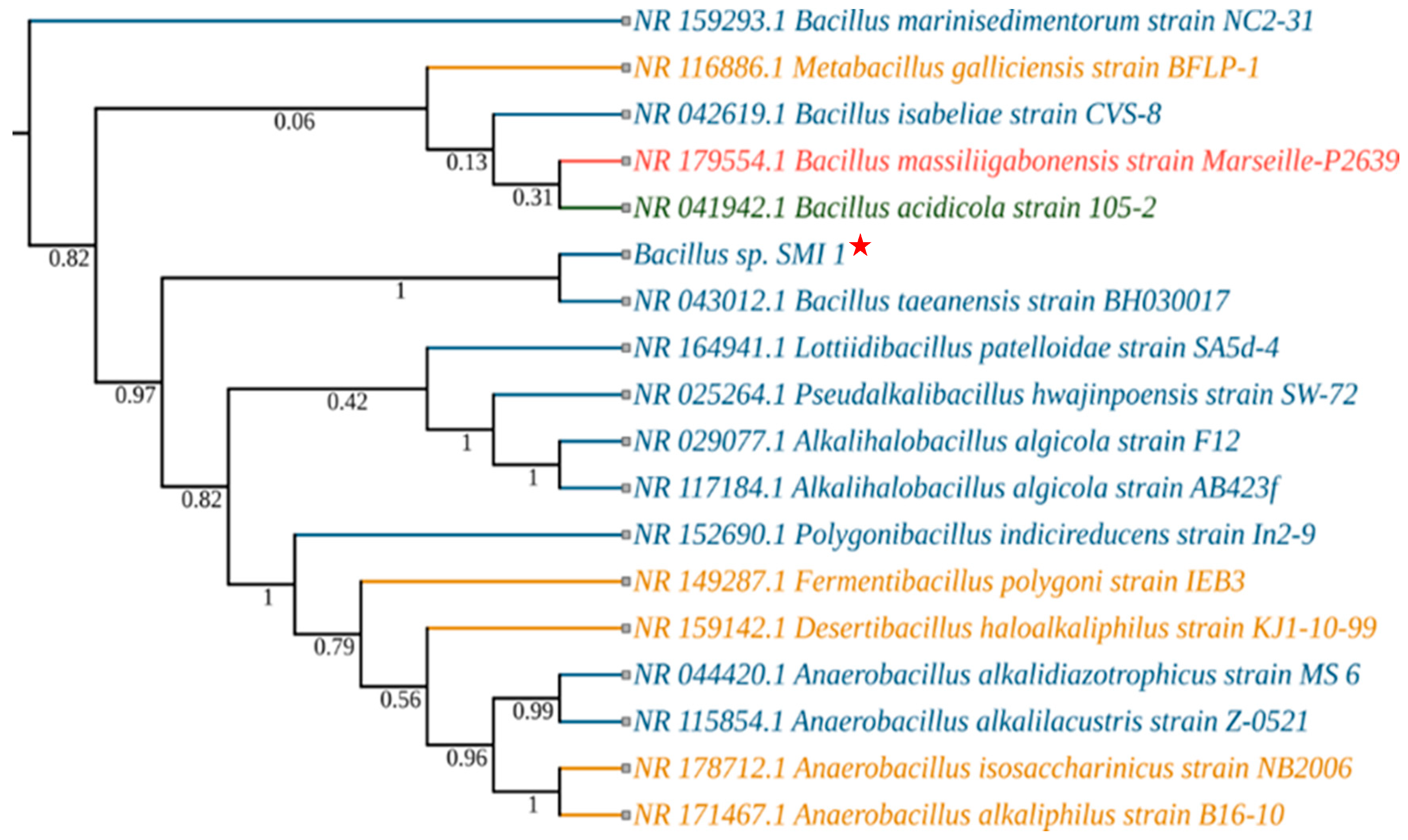Microorganisms 11 02873 g001