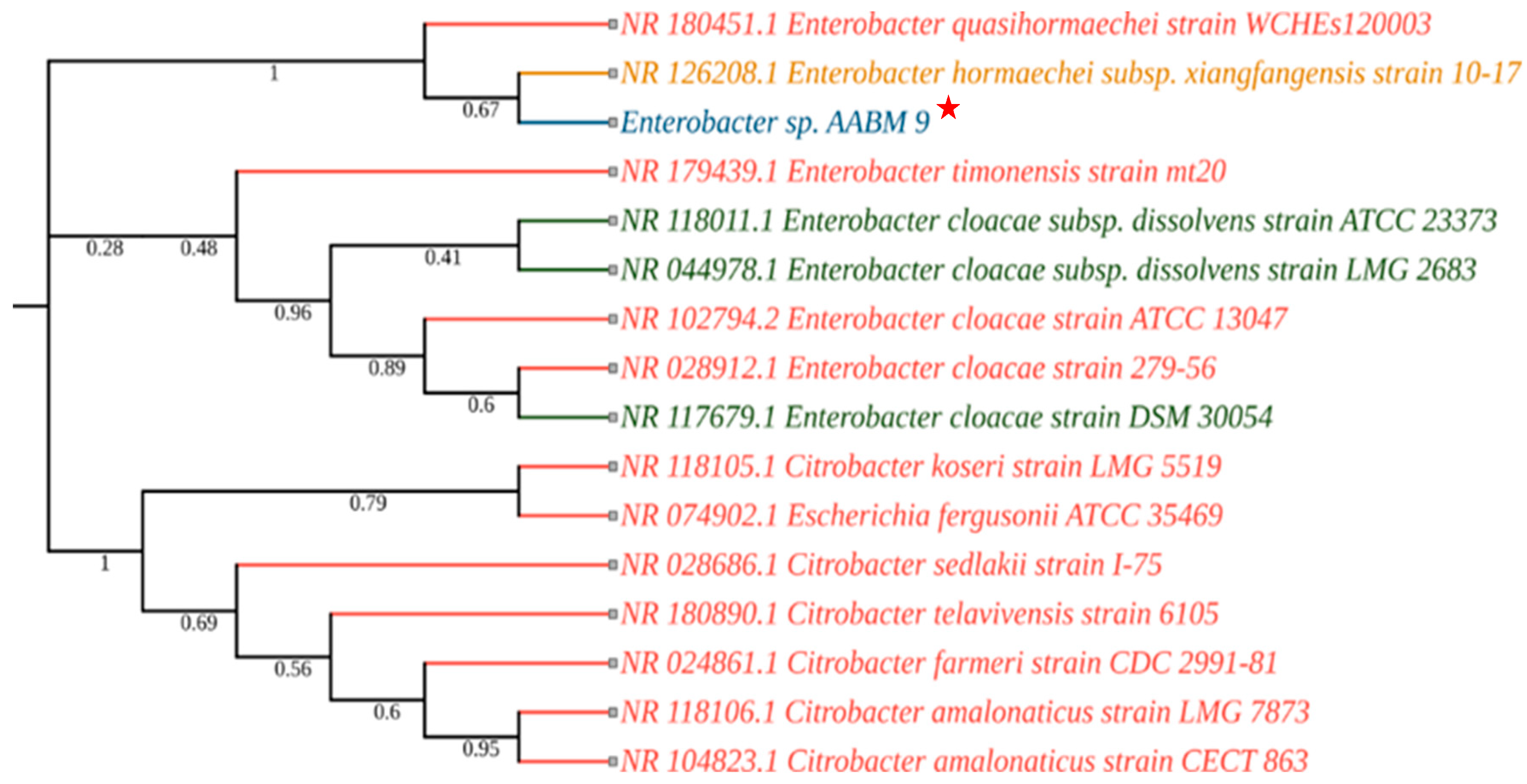 Microorganisms 11 02873 g002