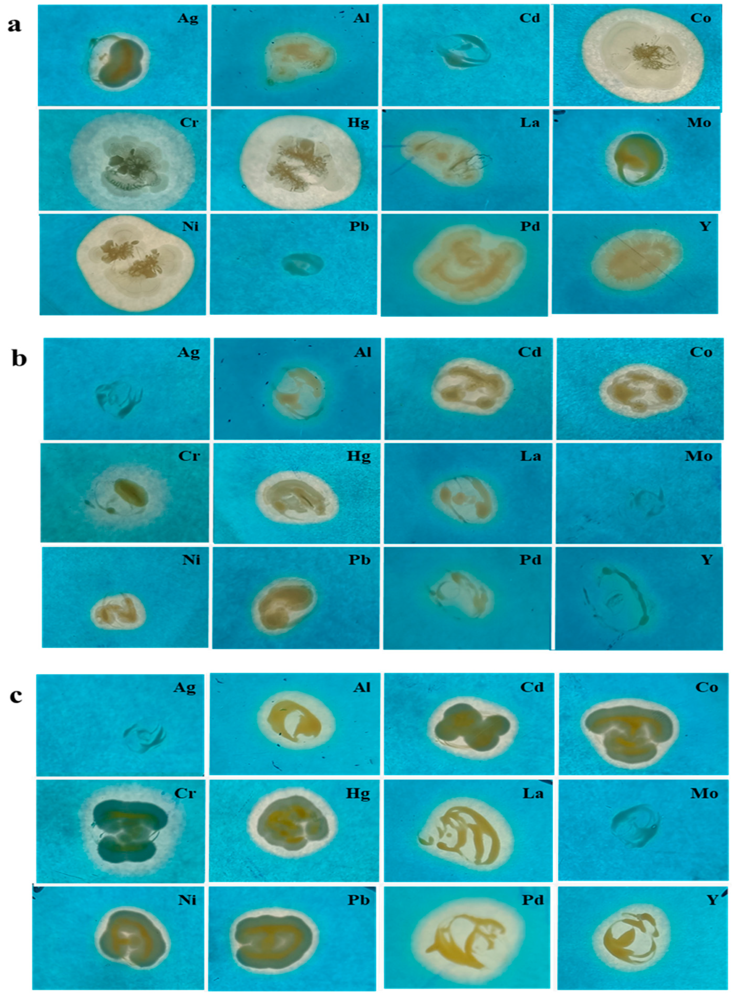 Microorganisms 11 02873 g007
