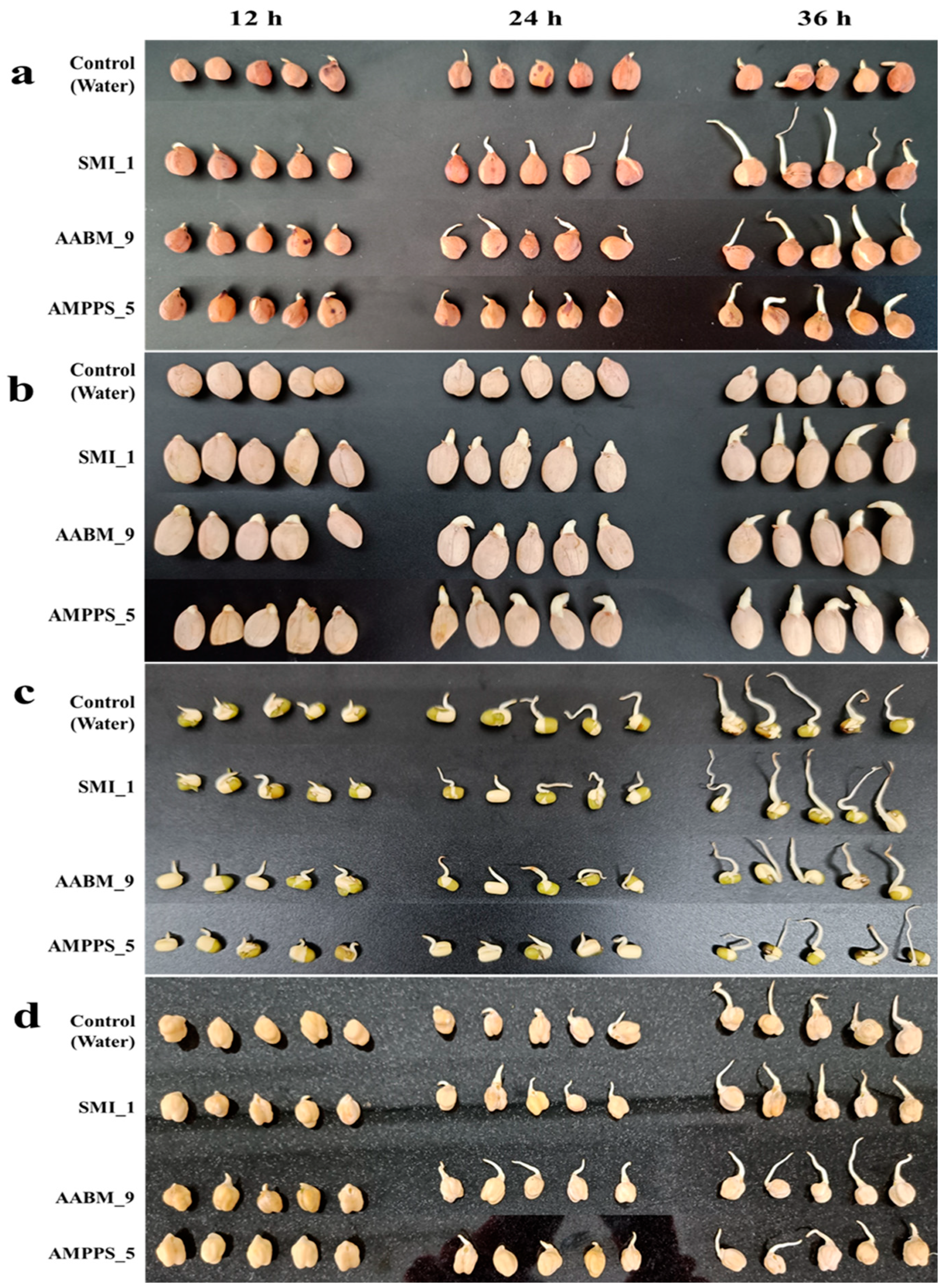 Microorganisms 11 02873 g008