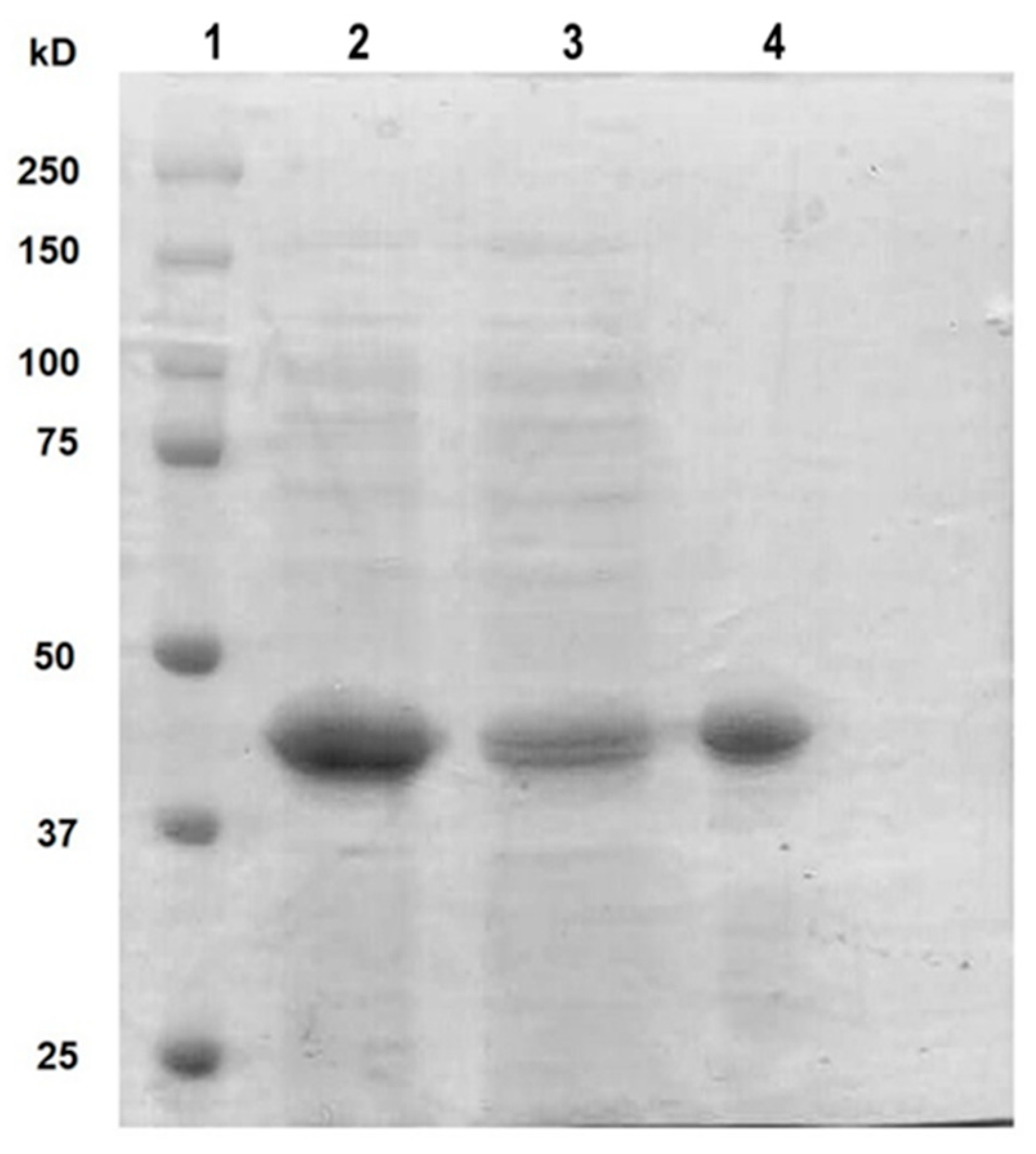 Microorganisms 11 02913 g001