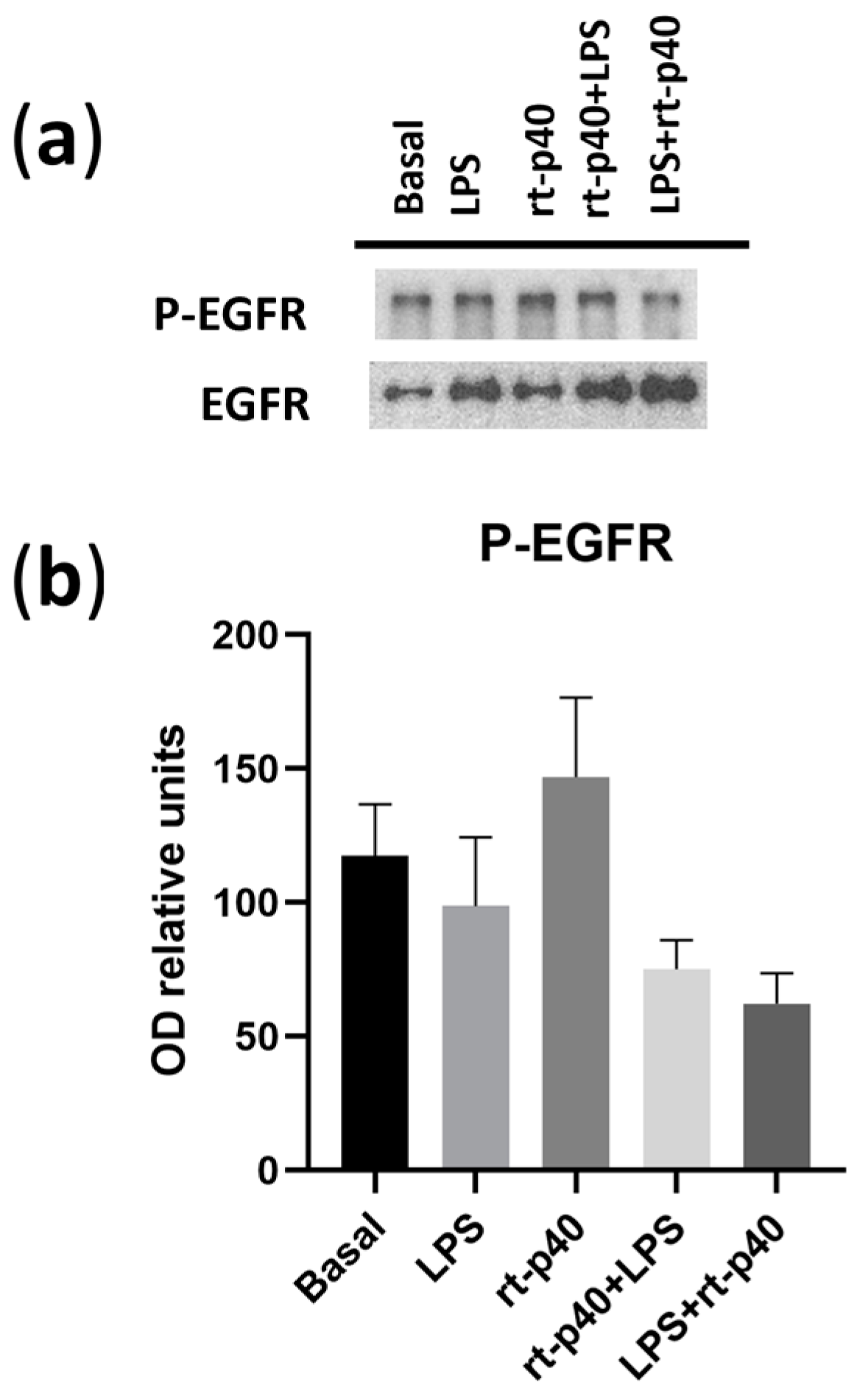 Microorganisms 11 02913 g006