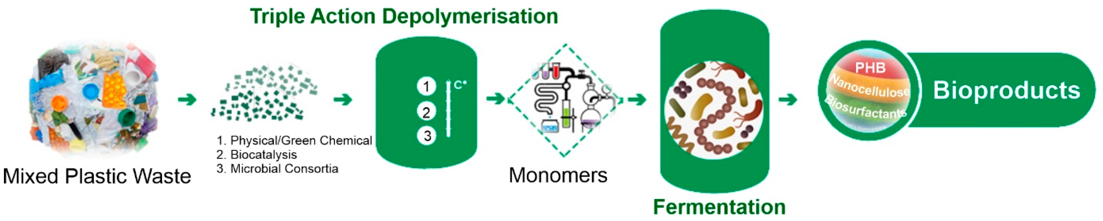 Microorganisms 11 02914 g004