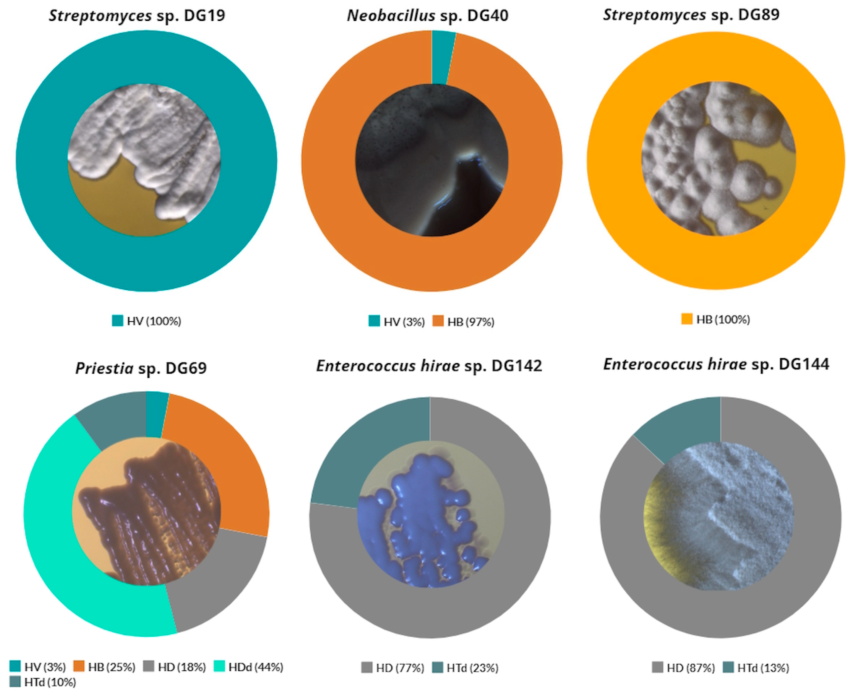Microorganisms 11 02914 g006
