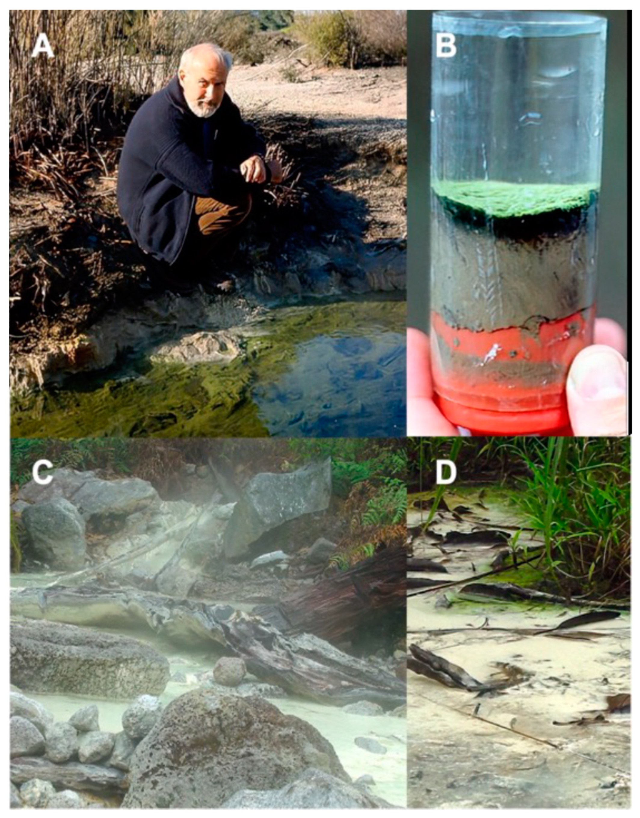 Microorganisms 11 02921 g002