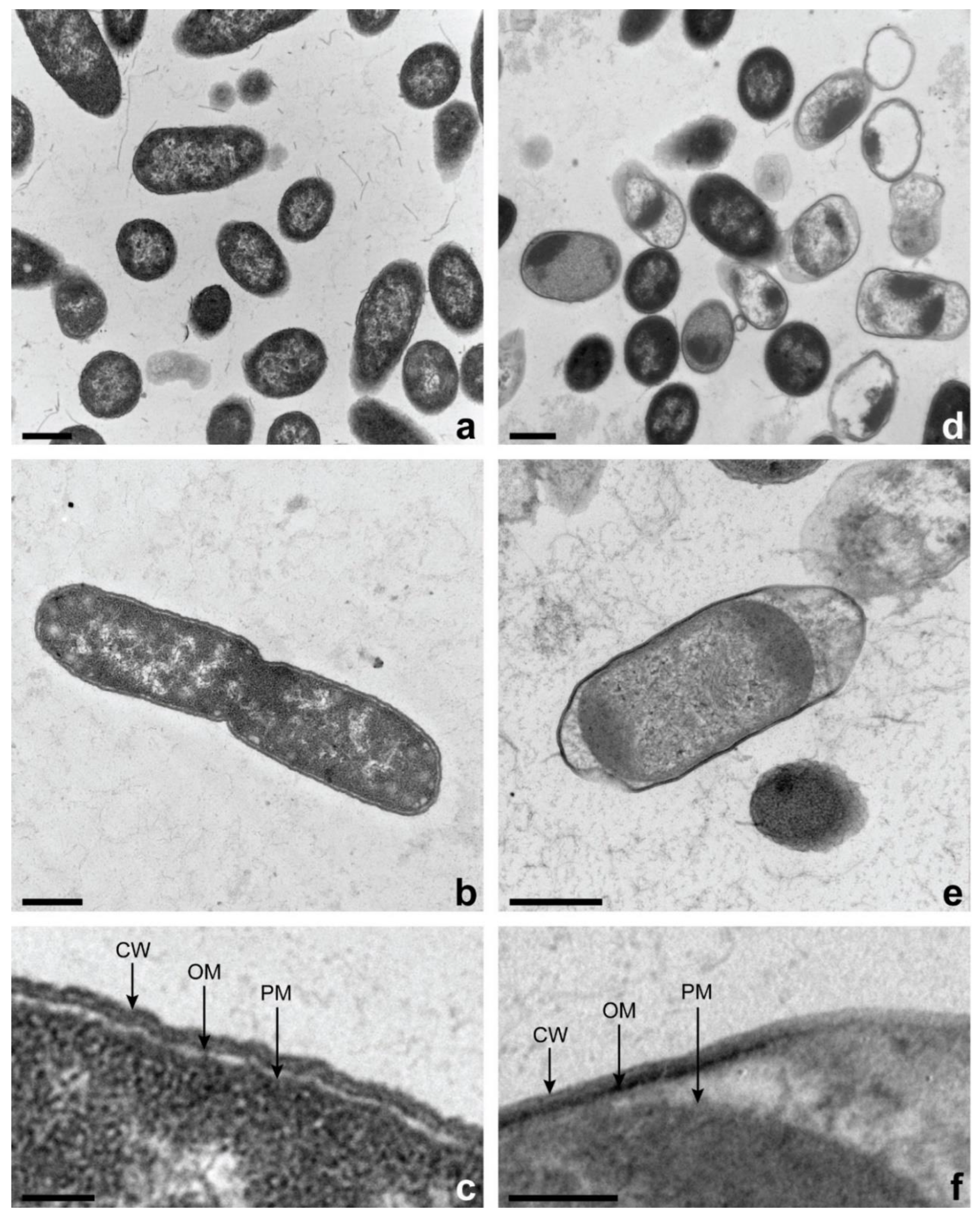 Microorganisms 11 02943 g005 Microorganisms 11 02943 g005
