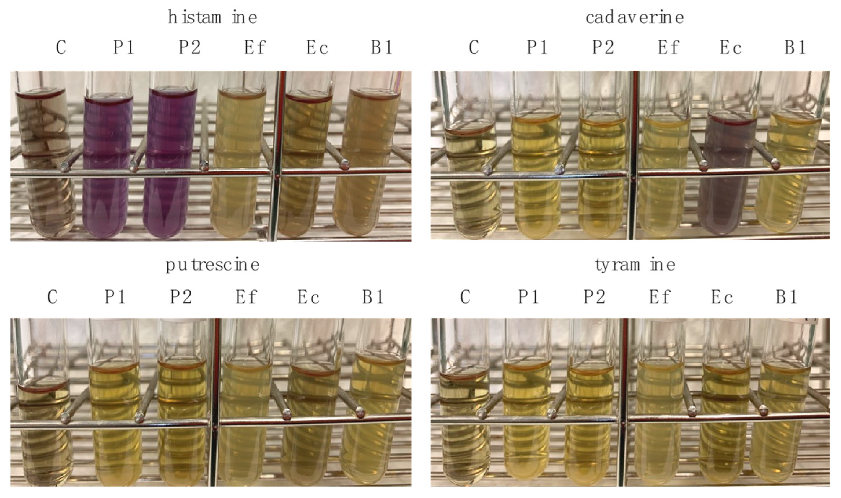 Microorganisms 11 02949 g001