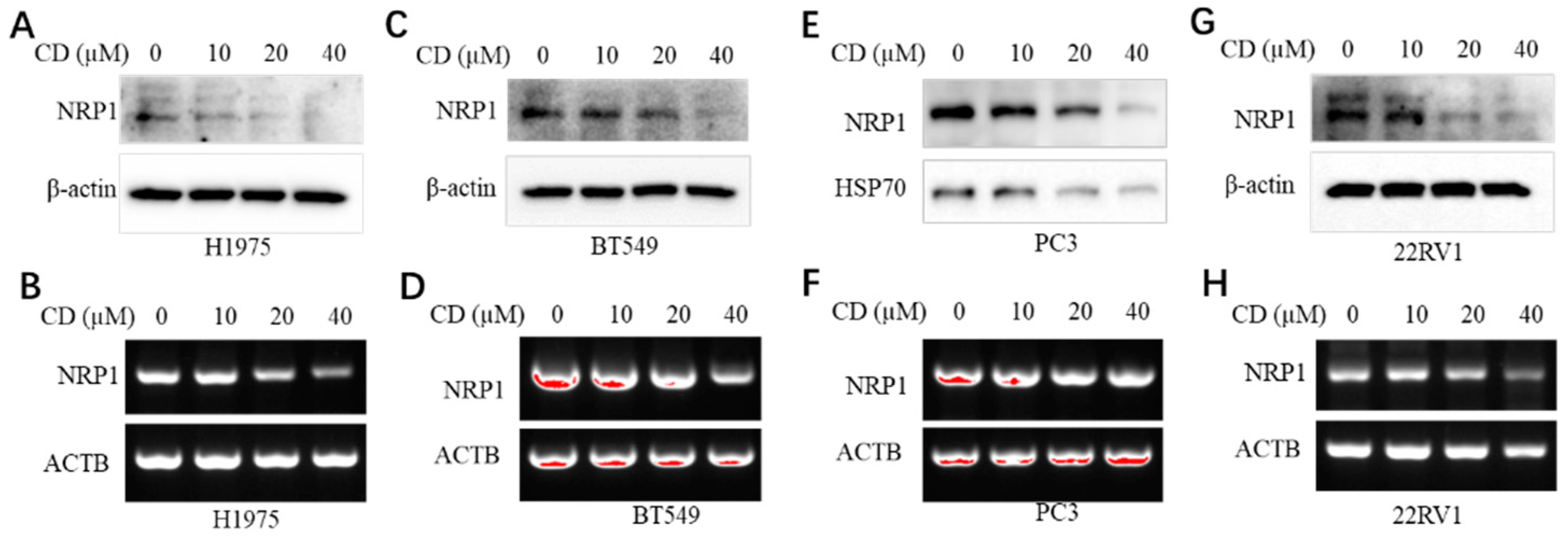 Microorganisms 11 02953 g001