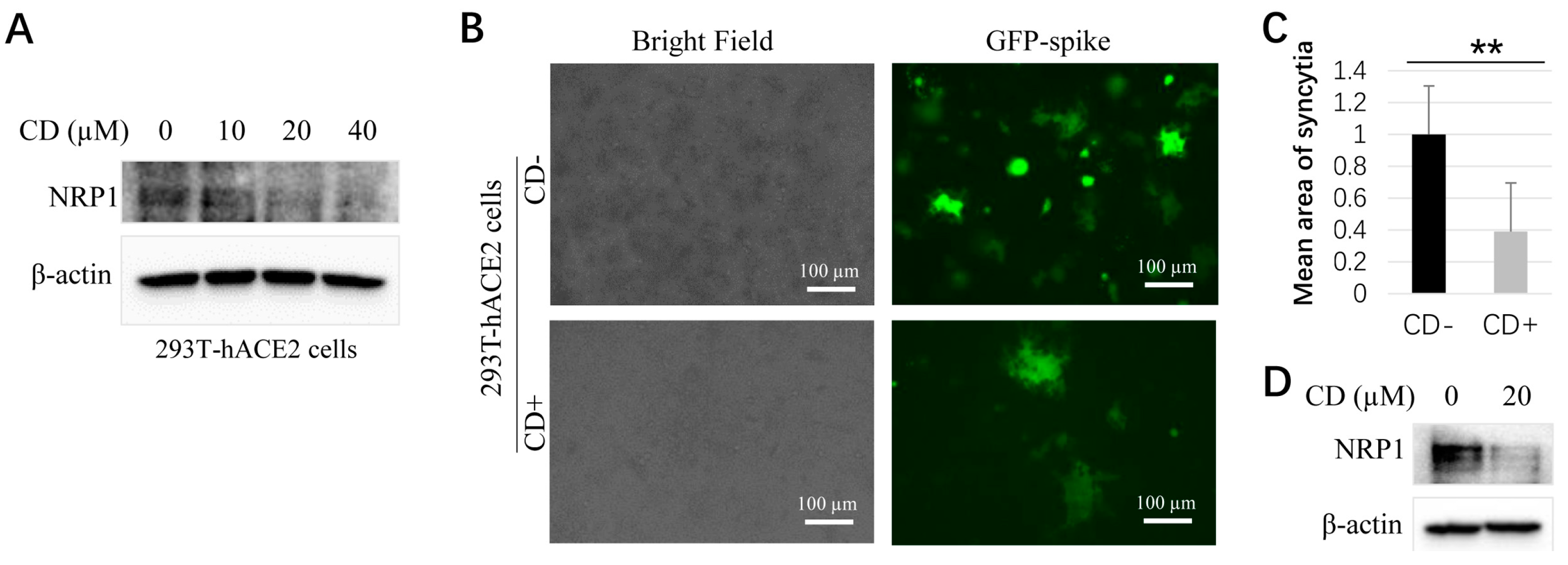 Microorganisms 11 02953 g003