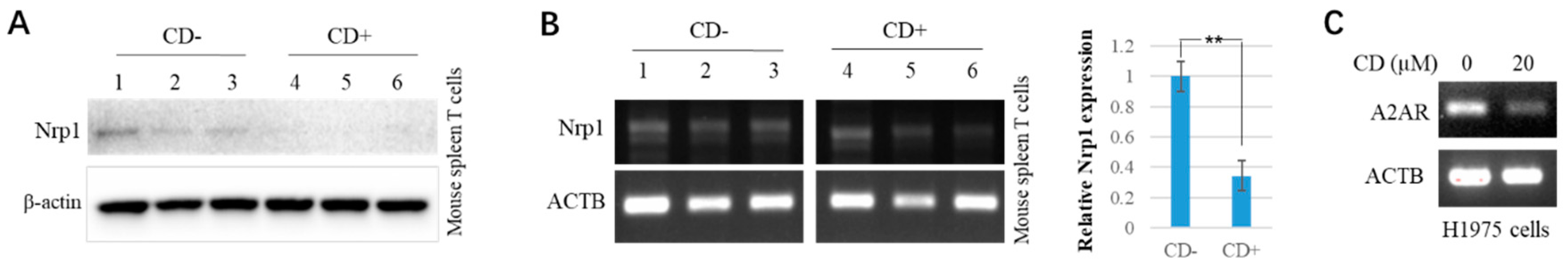Microorganisms 11 02953 g005
